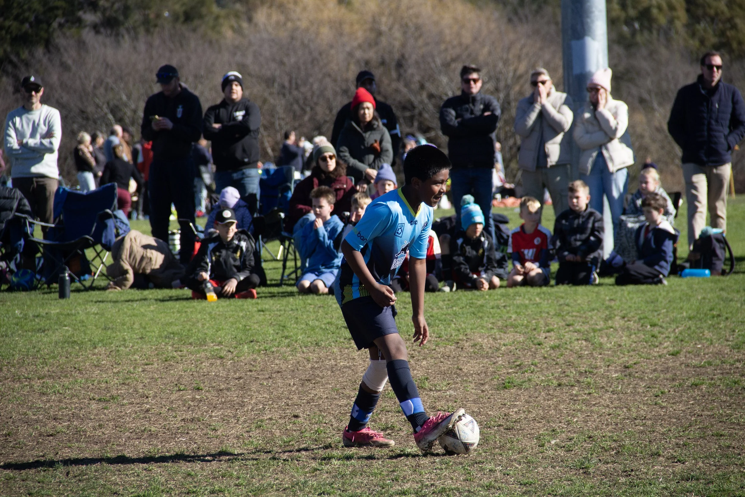 131-IMG_8454.jpg