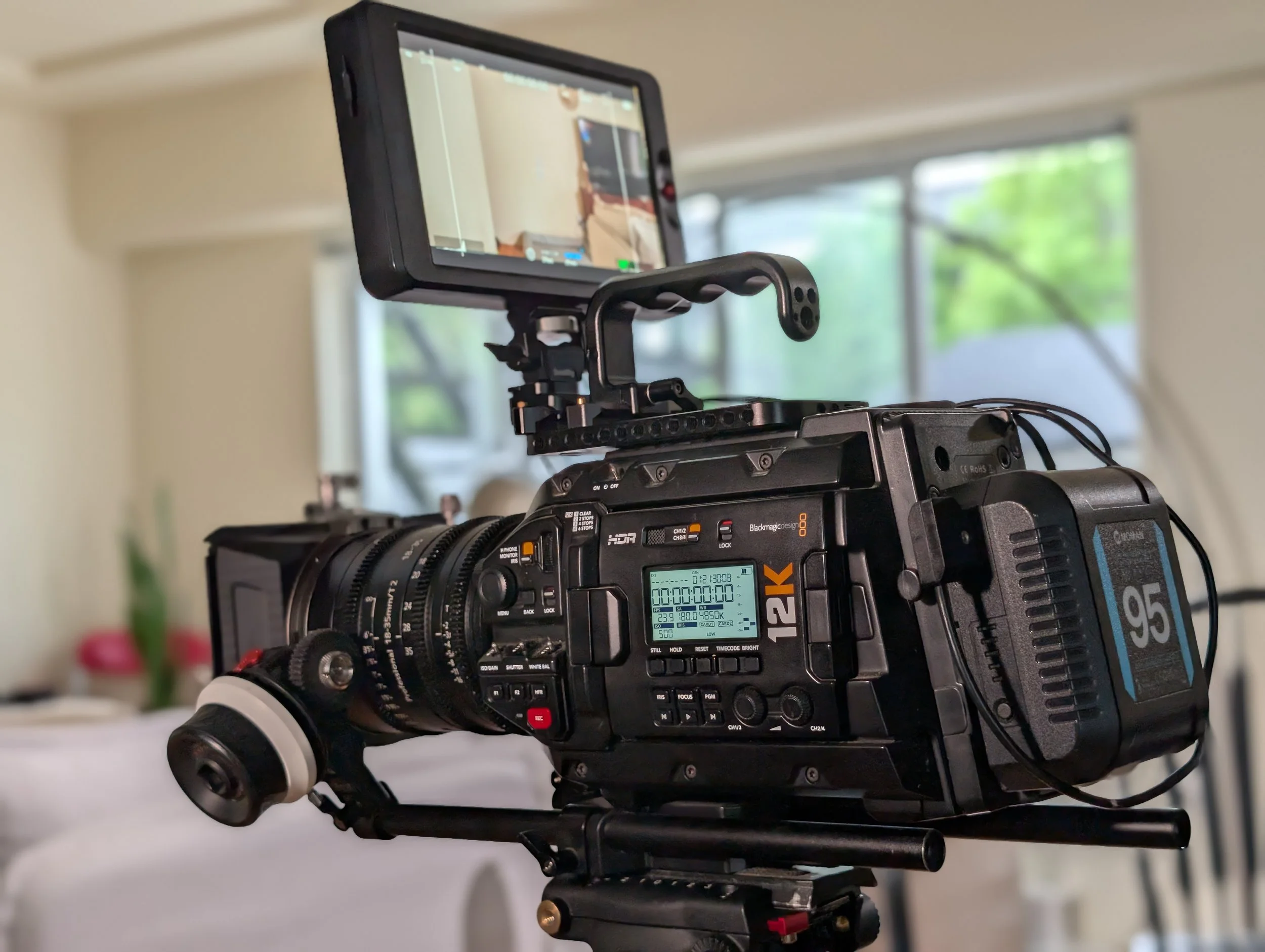 Close-up of a professional video camera with a monitor mounted on top, set in a room with blurred background of windows and greenery.