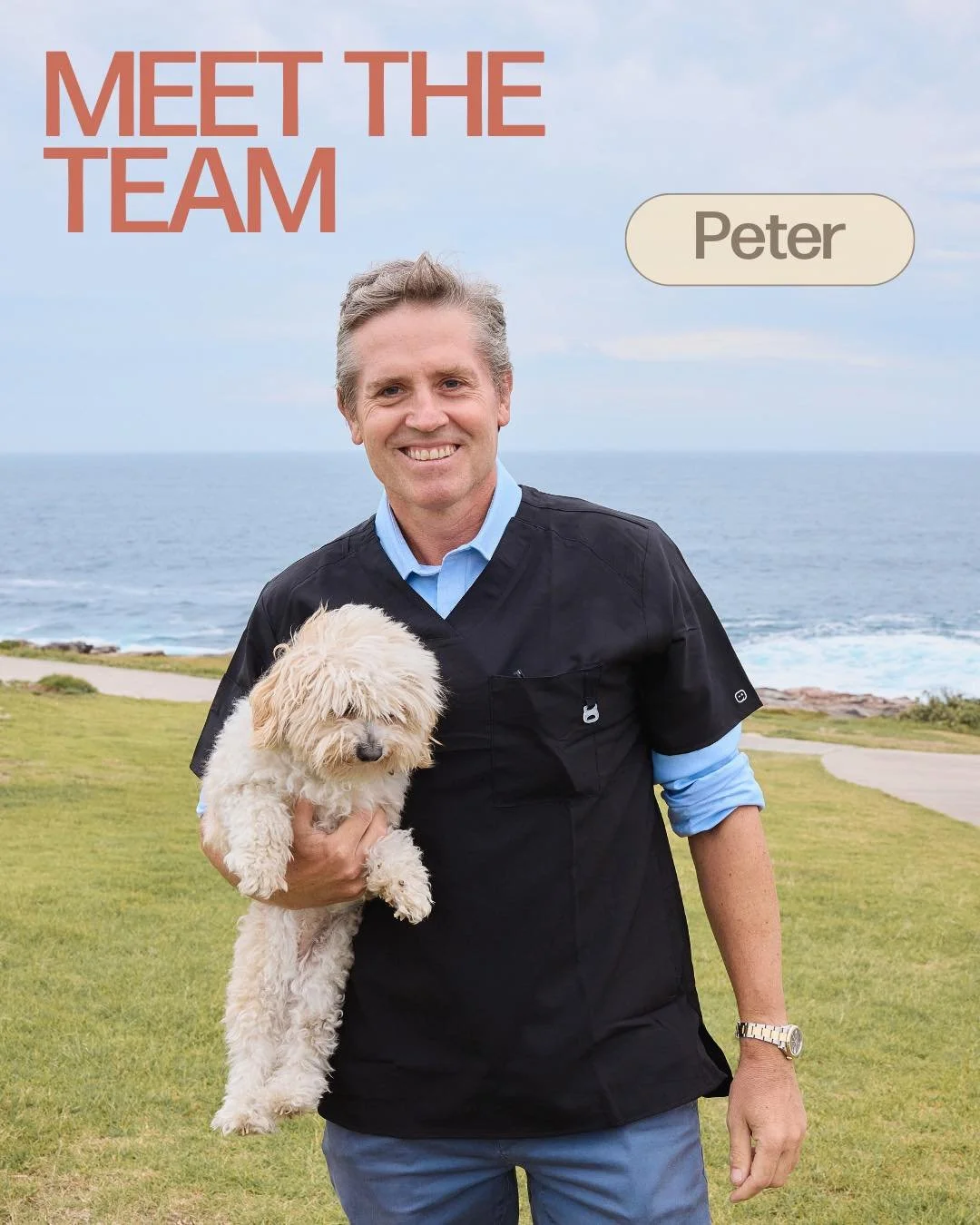 Meet Dr. Peter MacKenzie-Wood 🦴
With over three decades of experience and a background as an Adjunct Lecturer at USYD, Peter is well equipped for the most complex of cases. 

Special Interests include: Advanced orthopaedics (TPLO, MPL, and TTA surge