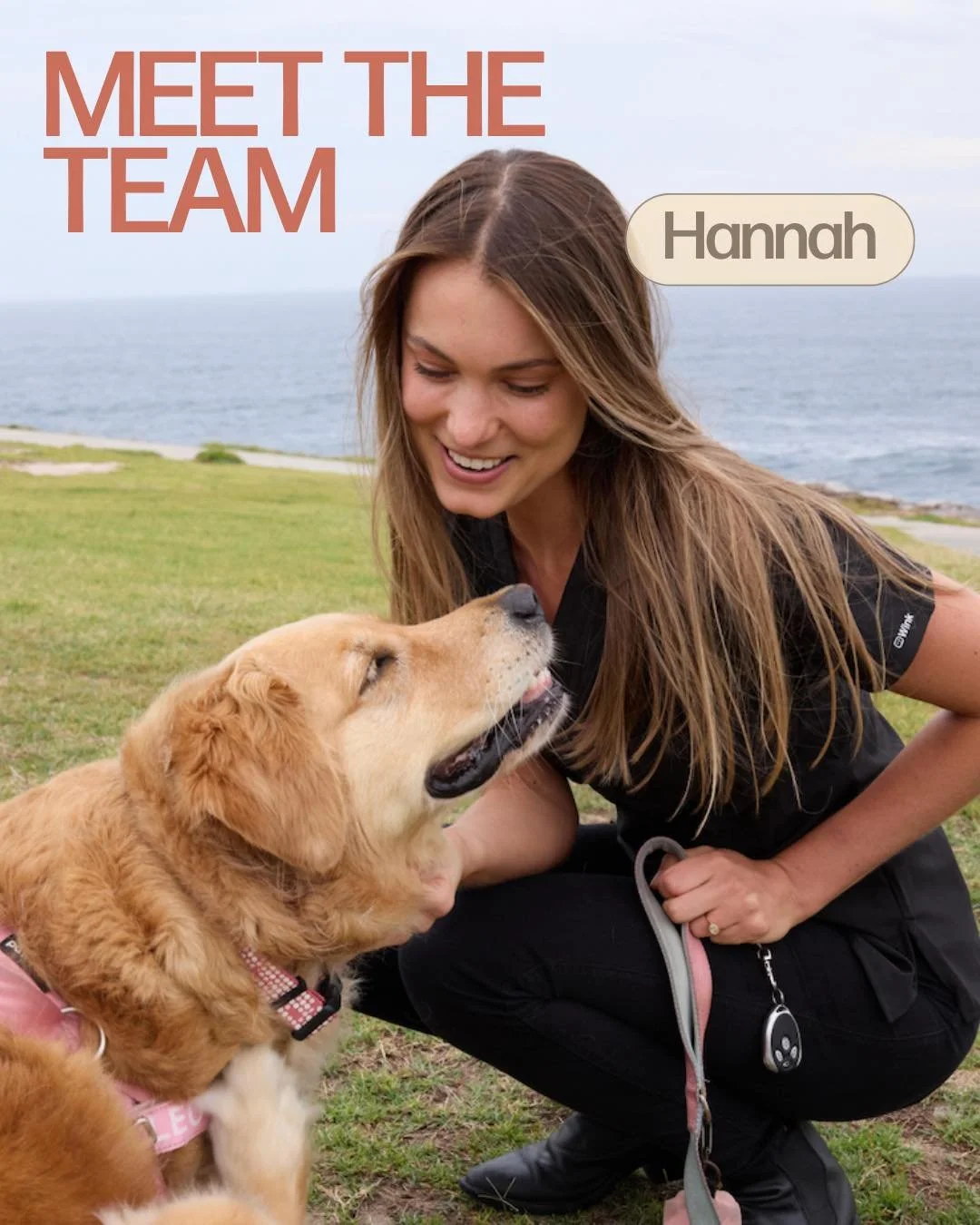 Meet Dr. Hannah Mitchell 🌊
Hannah brings a gentle, kind approach to treating her patients and their parents. 

She has done further training in fear free handling to ensure even her anxious patients feel at ease. With special interests in surgery an