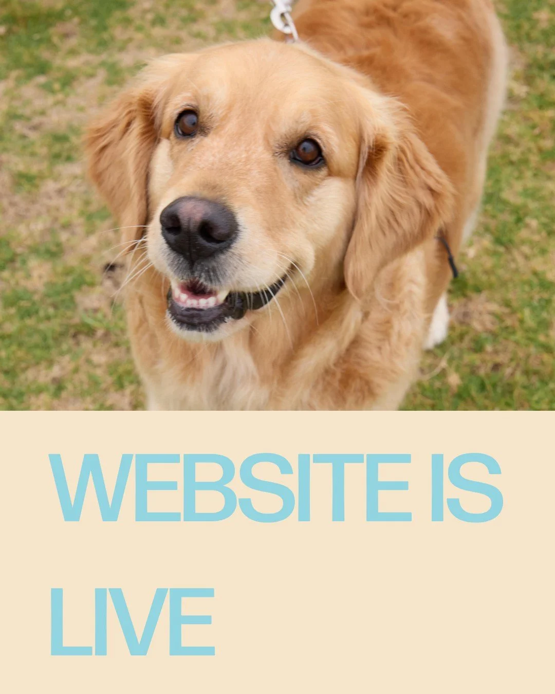 Our website is officially LIVE - click the link in our bio to learn more about our practice coming soon. 

Want to be the first to know when we open? Sign up for our email updates via the link in our bio! We&rsquo;re so excited to meet you and your p