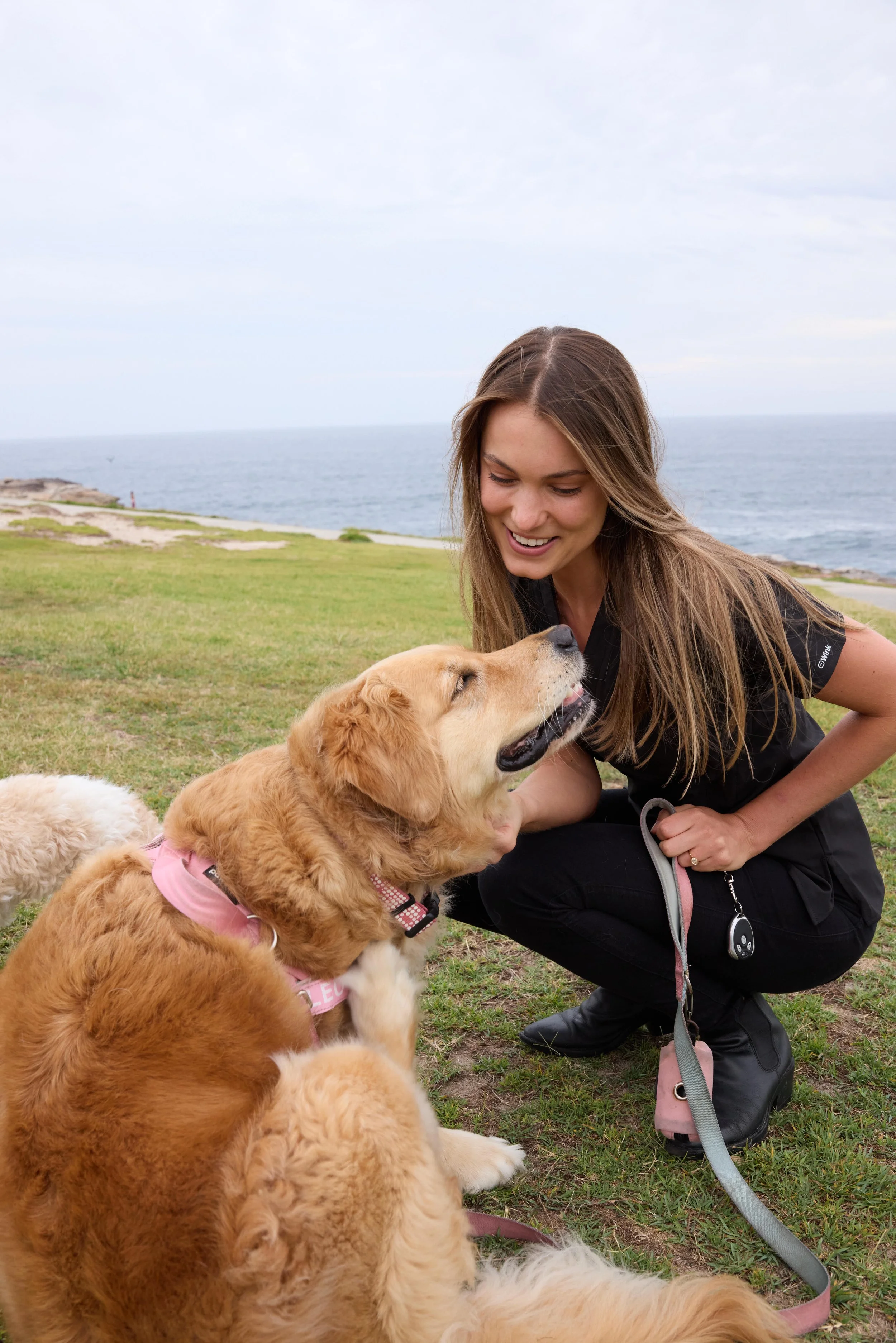 behavioural veterinarian sydney