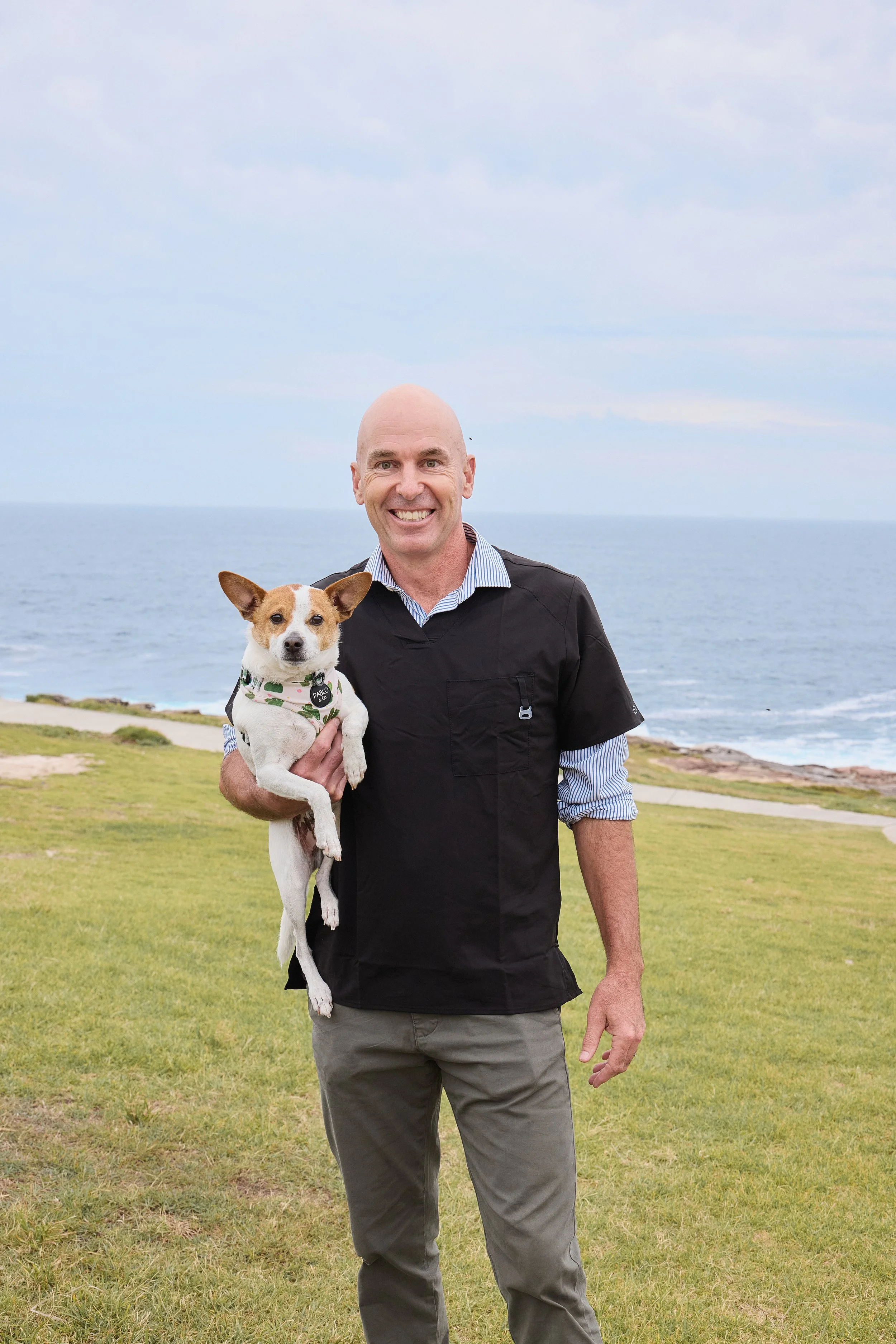 eastern suburbs veterinarian