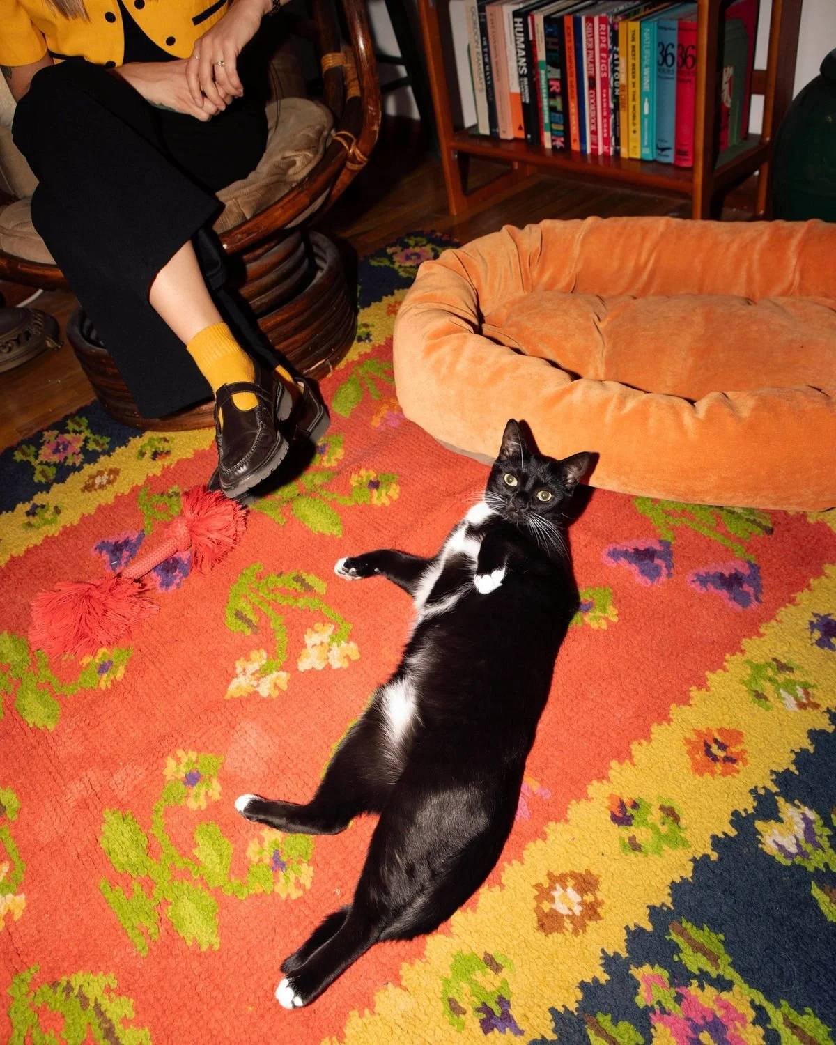 A black and white cat lying on its back on a colorful, floral-patterned rug, looking up at the camera with green eyes. In the background, a person wearing black pants, yellow socks, and black shoes is seated in a wooden chair, and there is a plush, orange pet bed nearby. A wooden bookshelf filled with books is also visible.