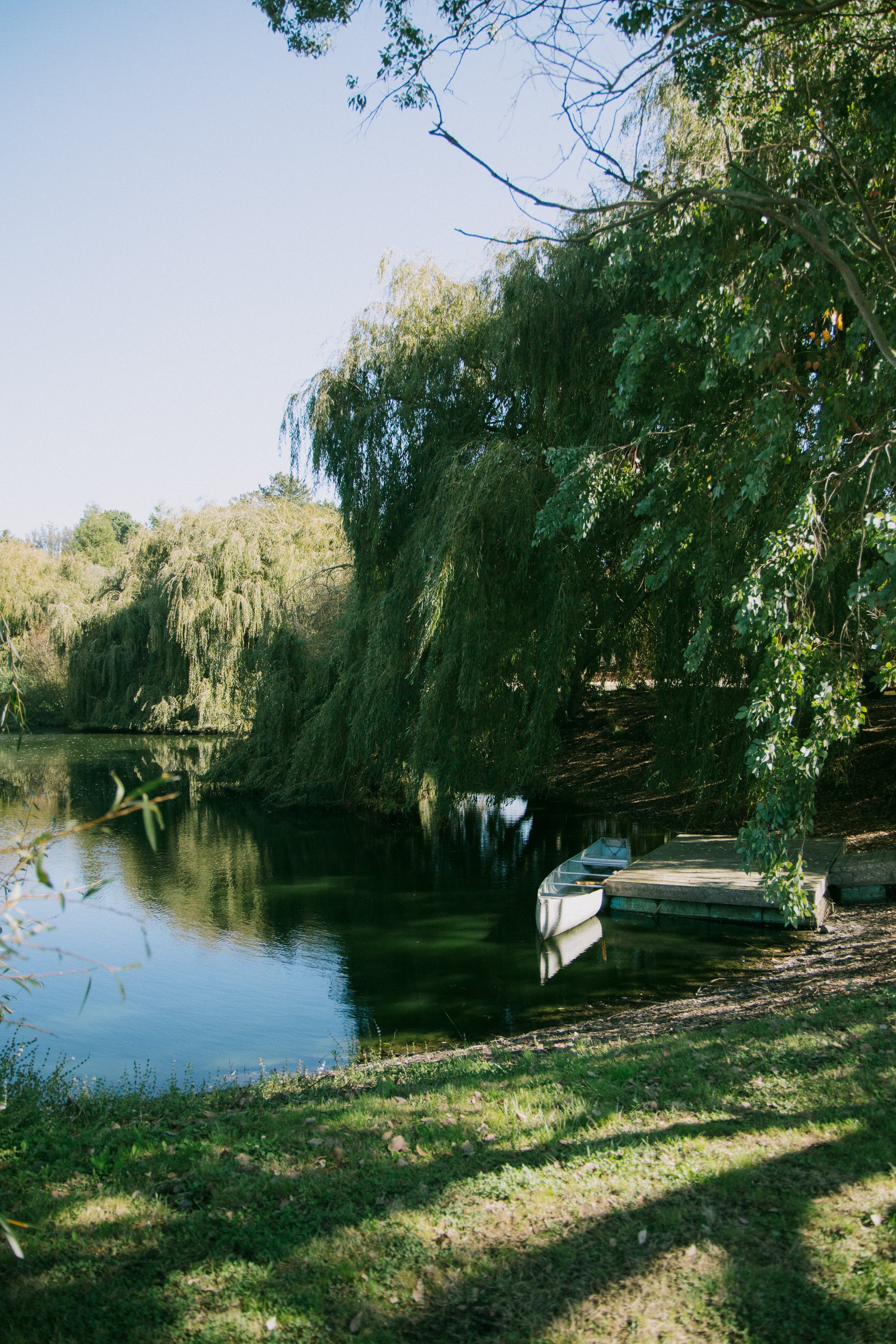 A peaceful lakeside scene with a small white rowboat tied to a wooden dock. Lush green willow trees drape over the calm water, reflecting in the pond under clear blue skies.