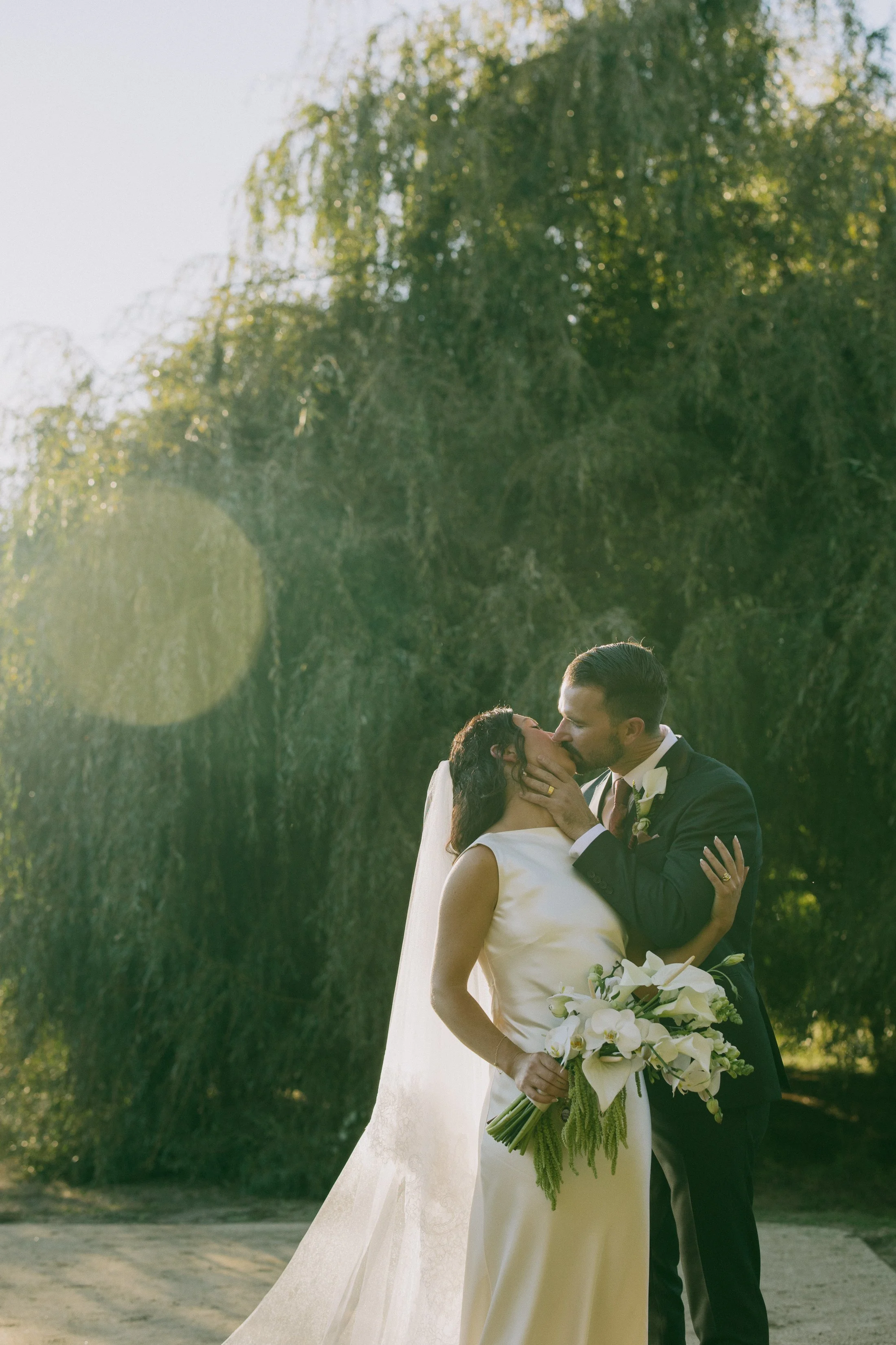 The bride and groom share a kiss outdoors in golden sunlight, standing in front of a large leafy tree. The bride wears a sleek white gown and veil while holding a bouquet of white flowers, and the groom wears a dark suit. Sunlight filters through the