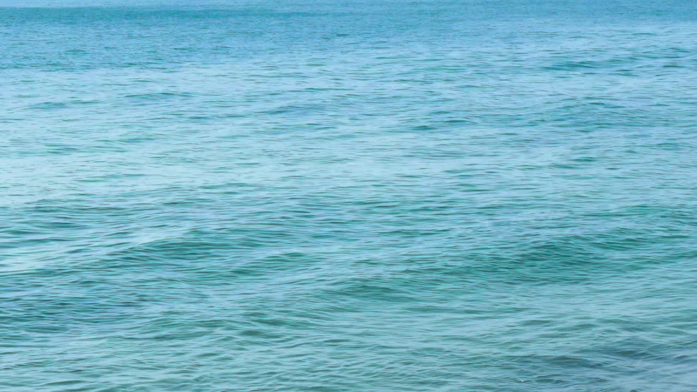 Logo - Simple Minimalista Lineal -  Negro Blanco (1080 x 1920 px) (Website).png