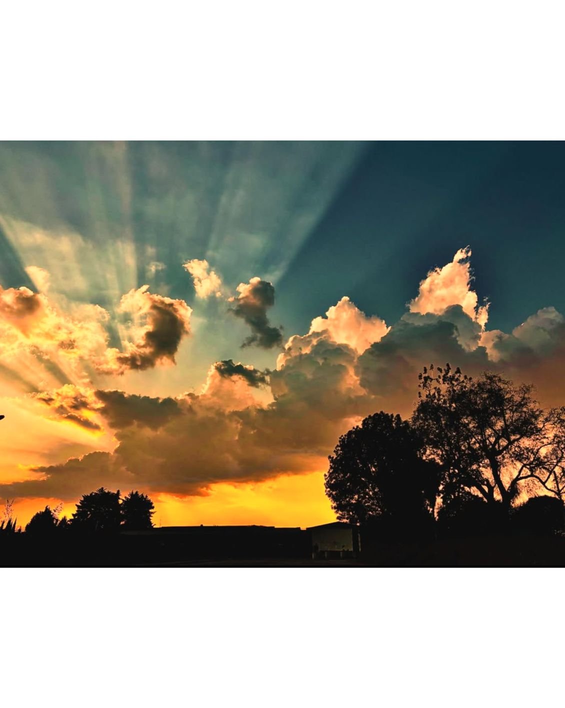Sunset sky with colorful clouds and silhouetted trees in the foreground.