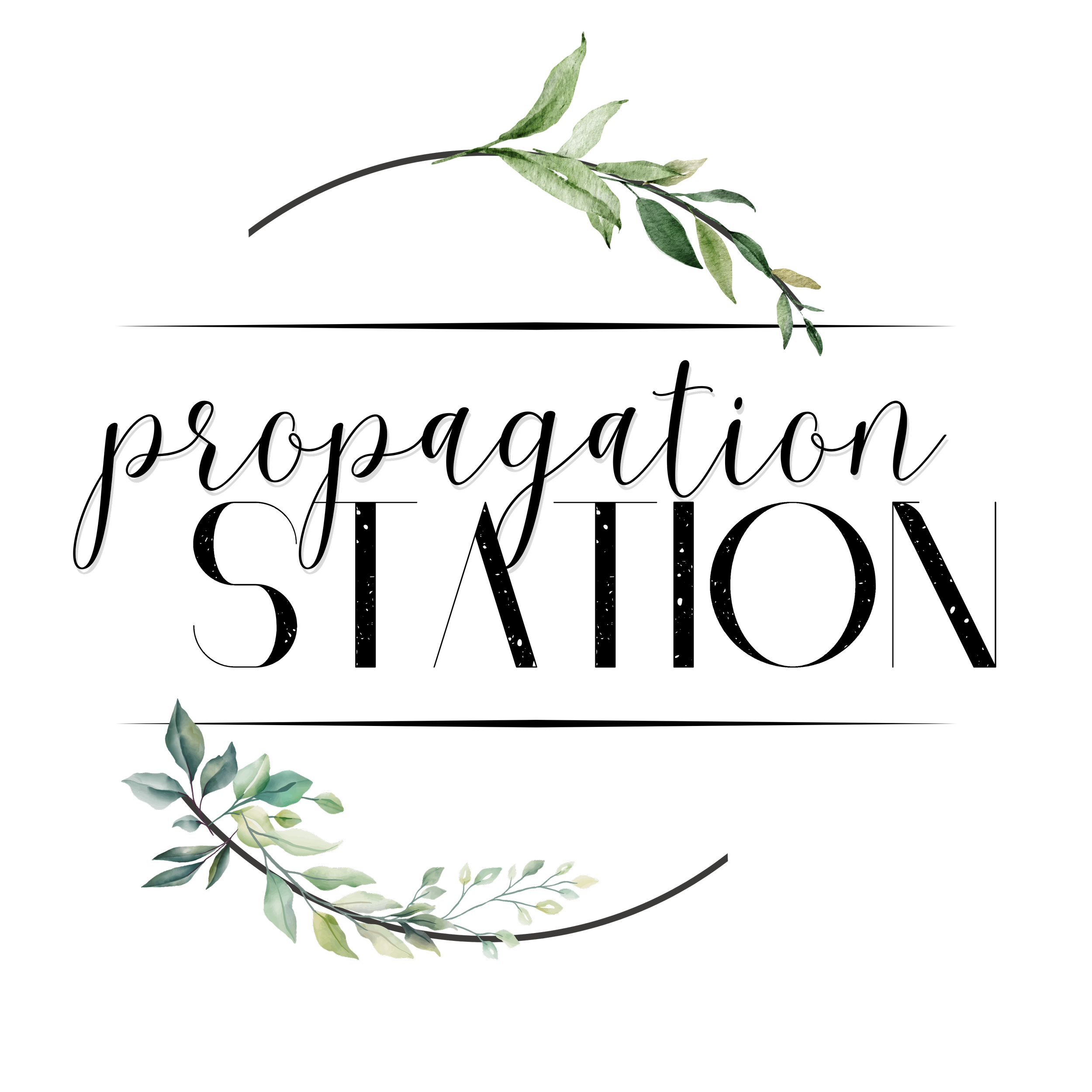 plant workshops Portland  succulent workshop Portland  terrarium workshop Portland  private plant workshop