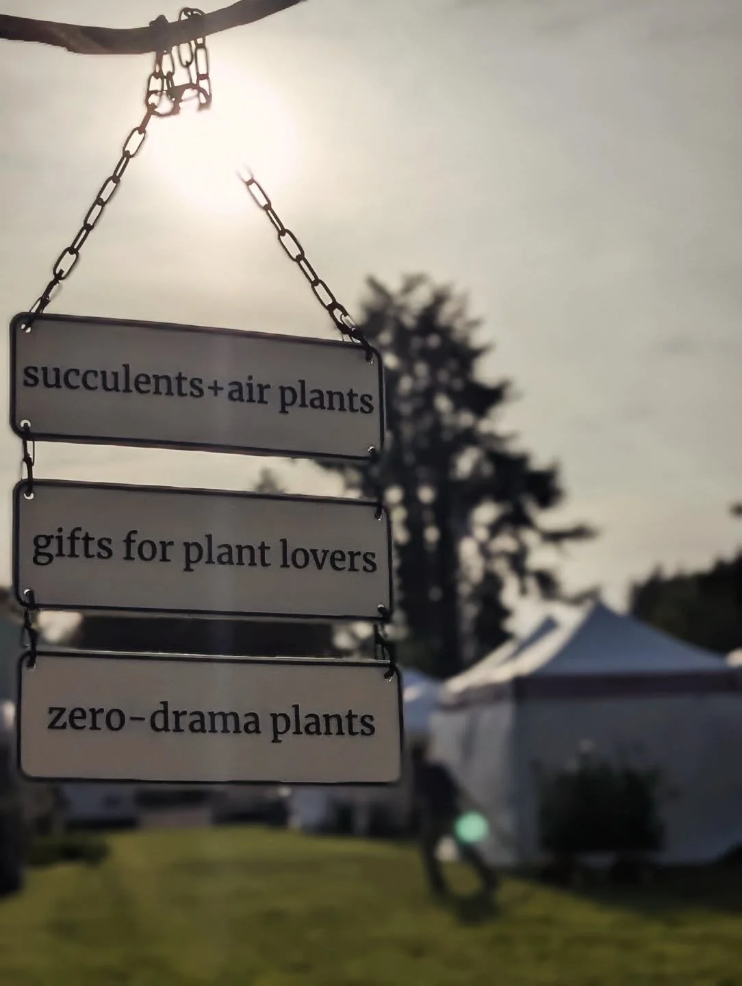 We're set and ready - see you tomorrow ✨🌿 @springgardenfair