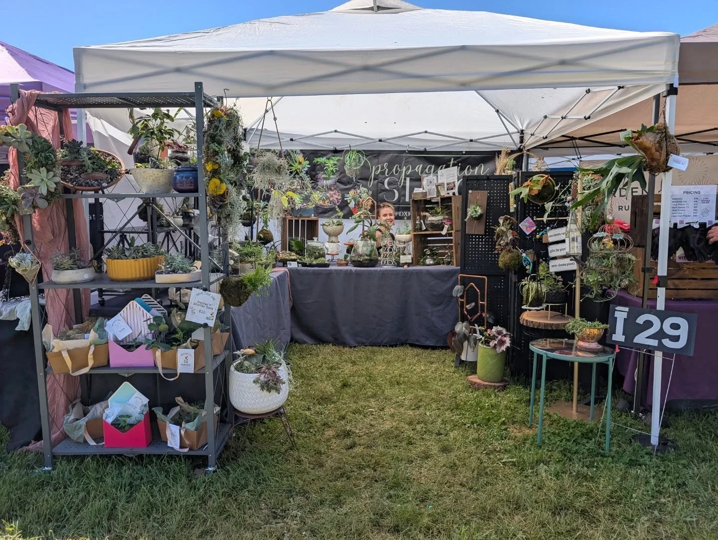 We're here till 4pm, come say hi at the @springgardenfair 🌿☀️🪴