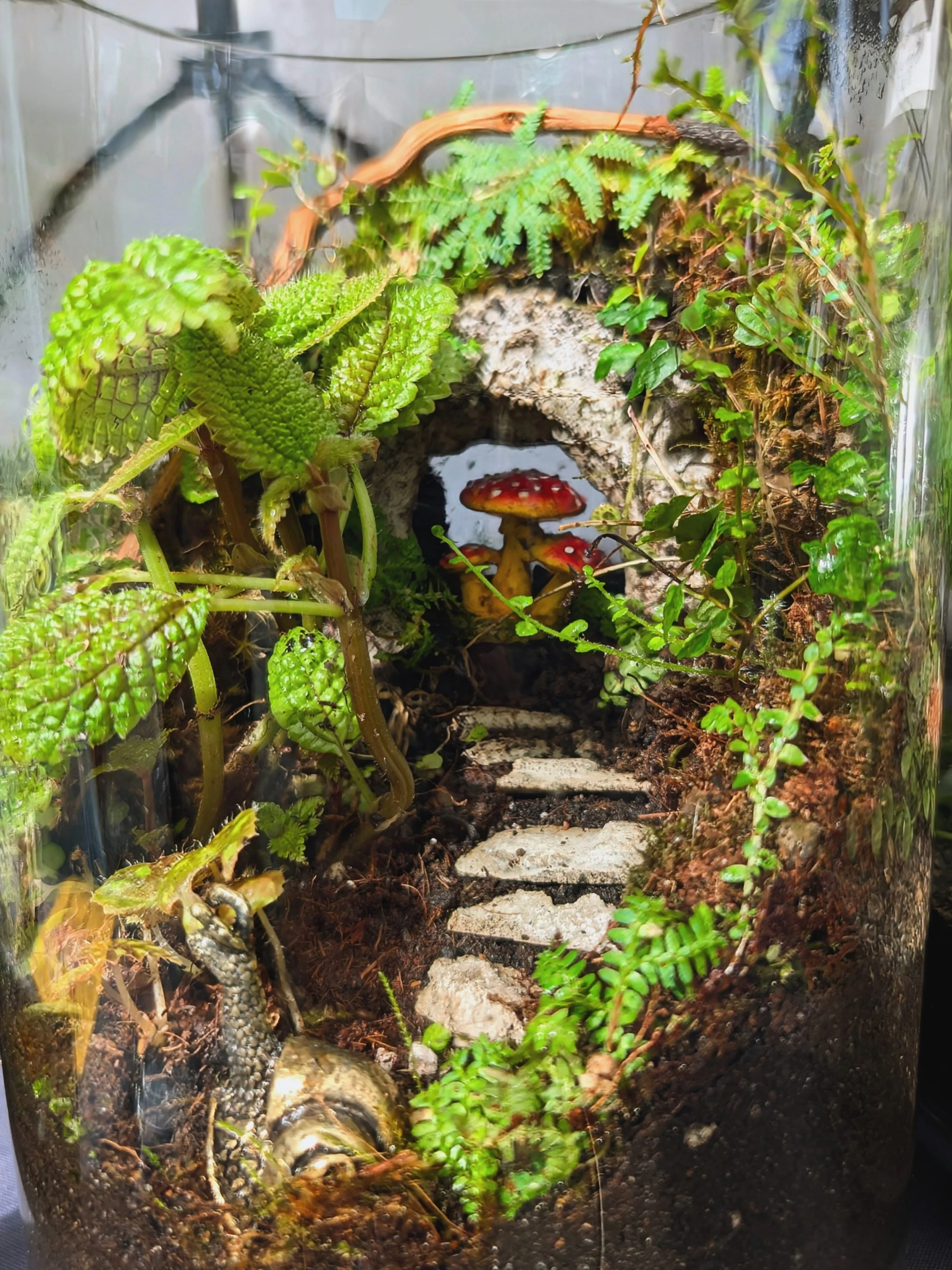 There are some pieces you create that are difficult to let go- this terrarium was one of them! I had a vision to create a background wall with a little peak through moment, perfect spot for the mushroom 🍄 A fella came to our booth in hopes of findin