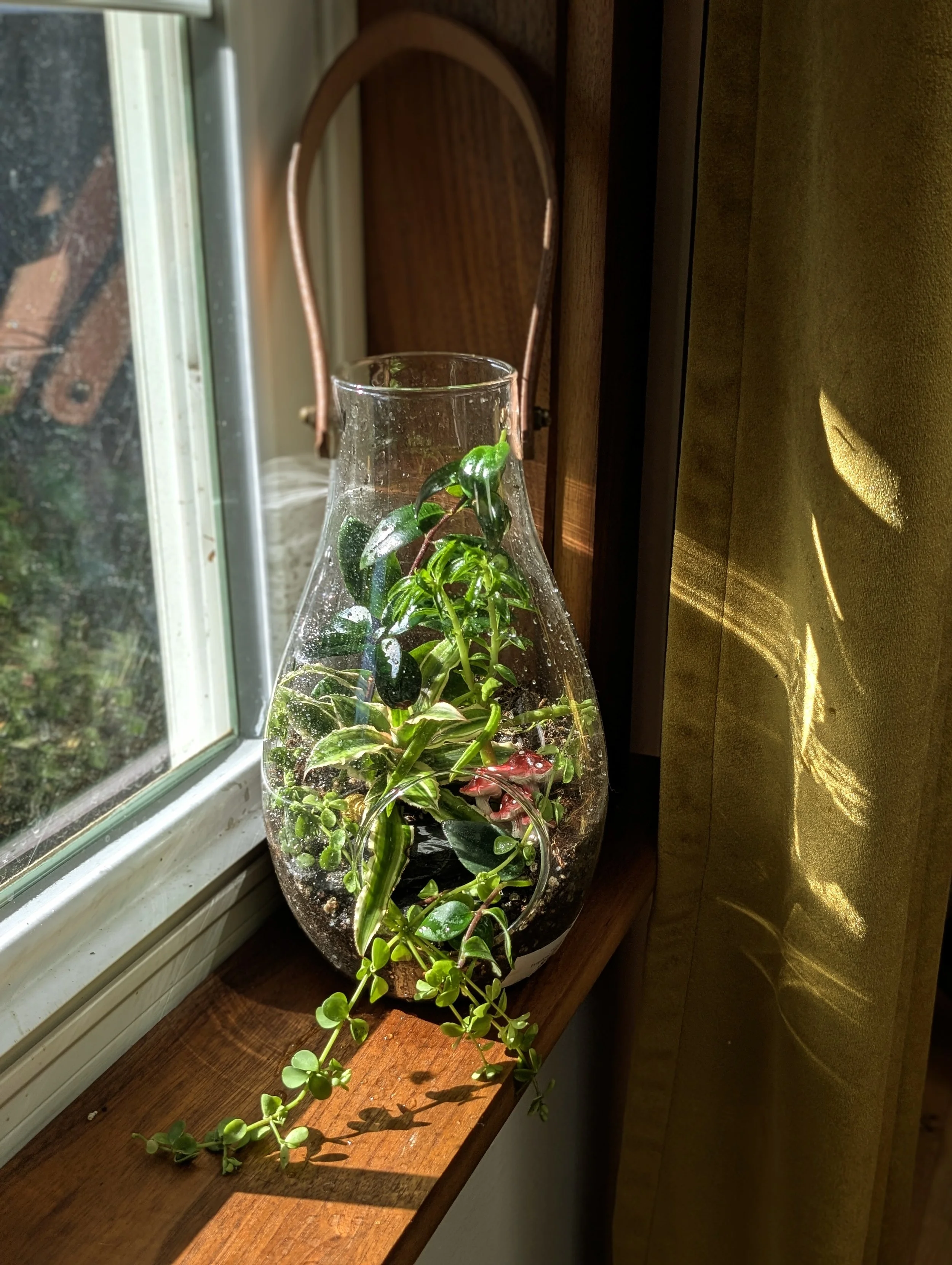 Layered Landscape: Terrarium Design