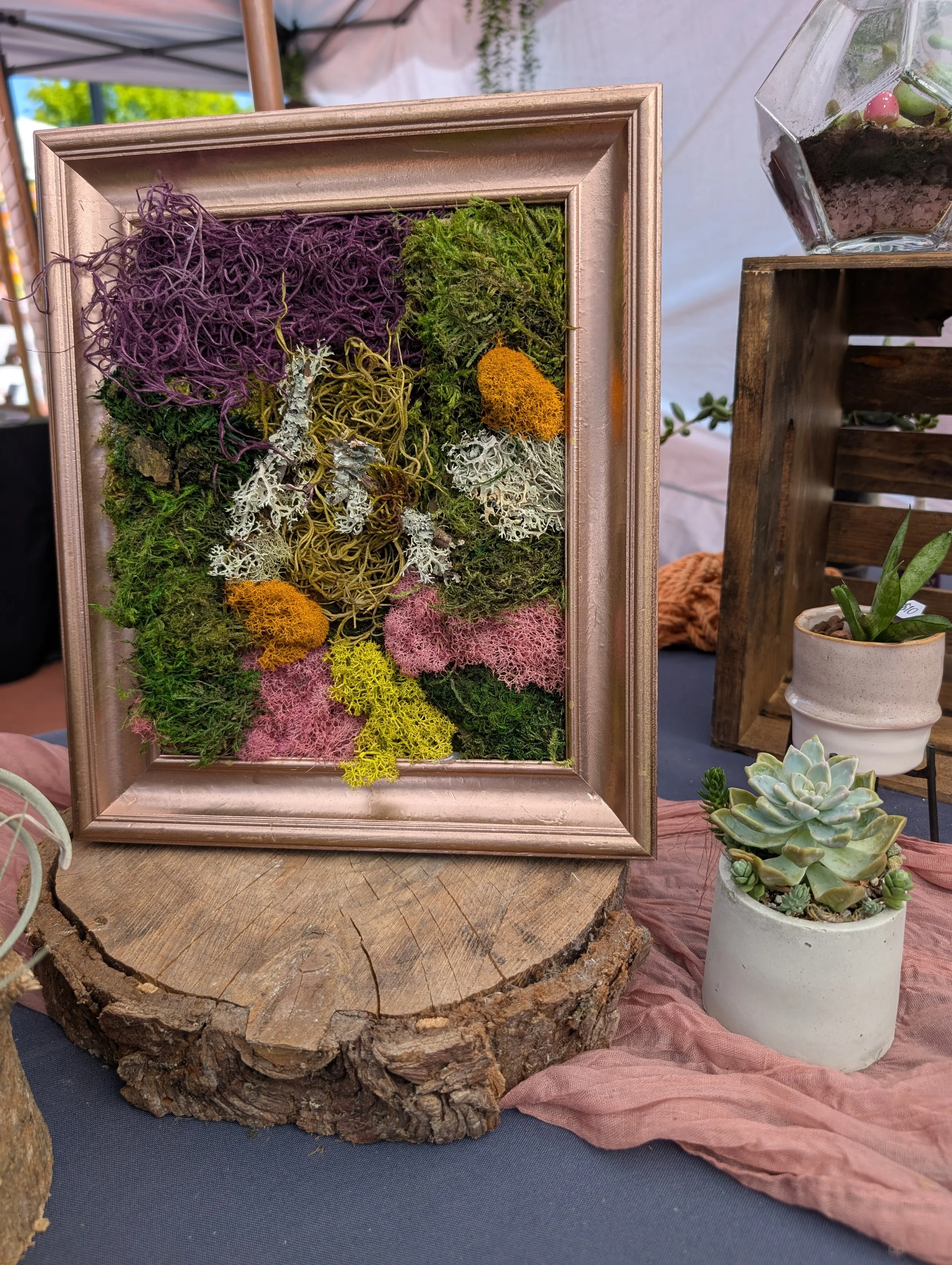 Modern Moss Studio - DIY Moss Art Bar - forever art - sustainable design - thrift - diy