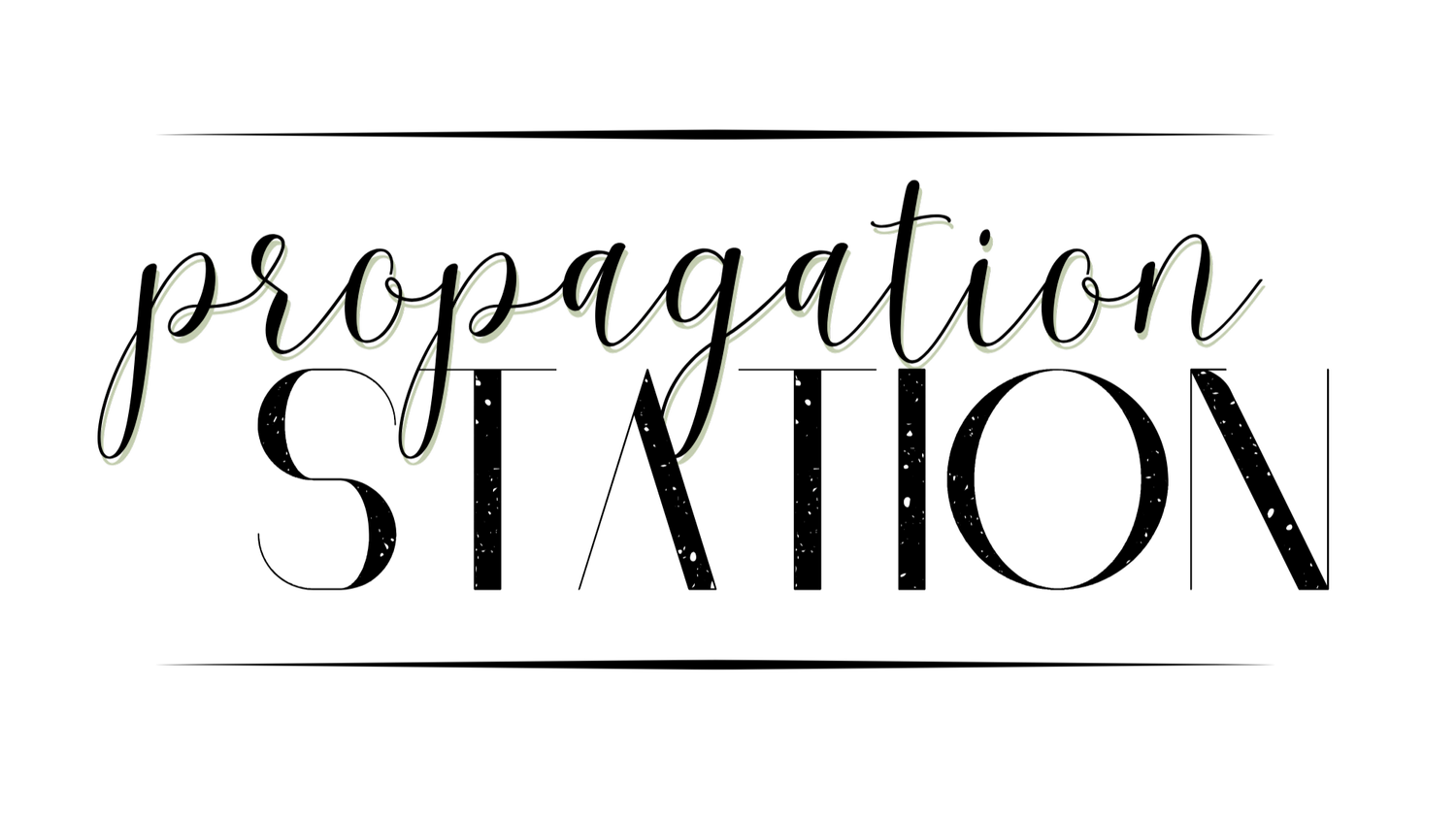 Propagation Station