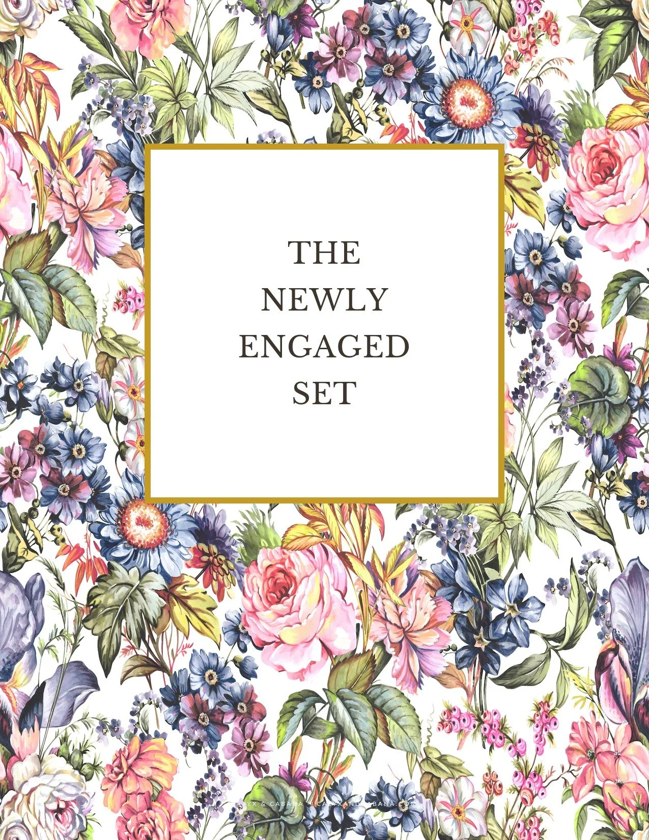 The Newly Engaged Blueprint & Workbook Set