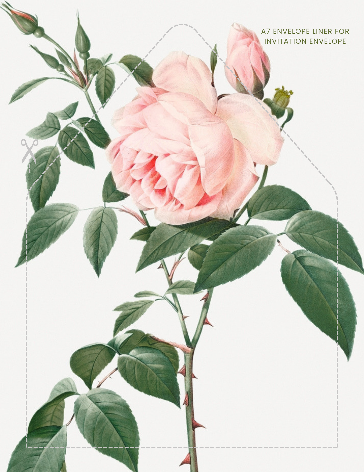 Invitation Envelope Liner A7 Size.png