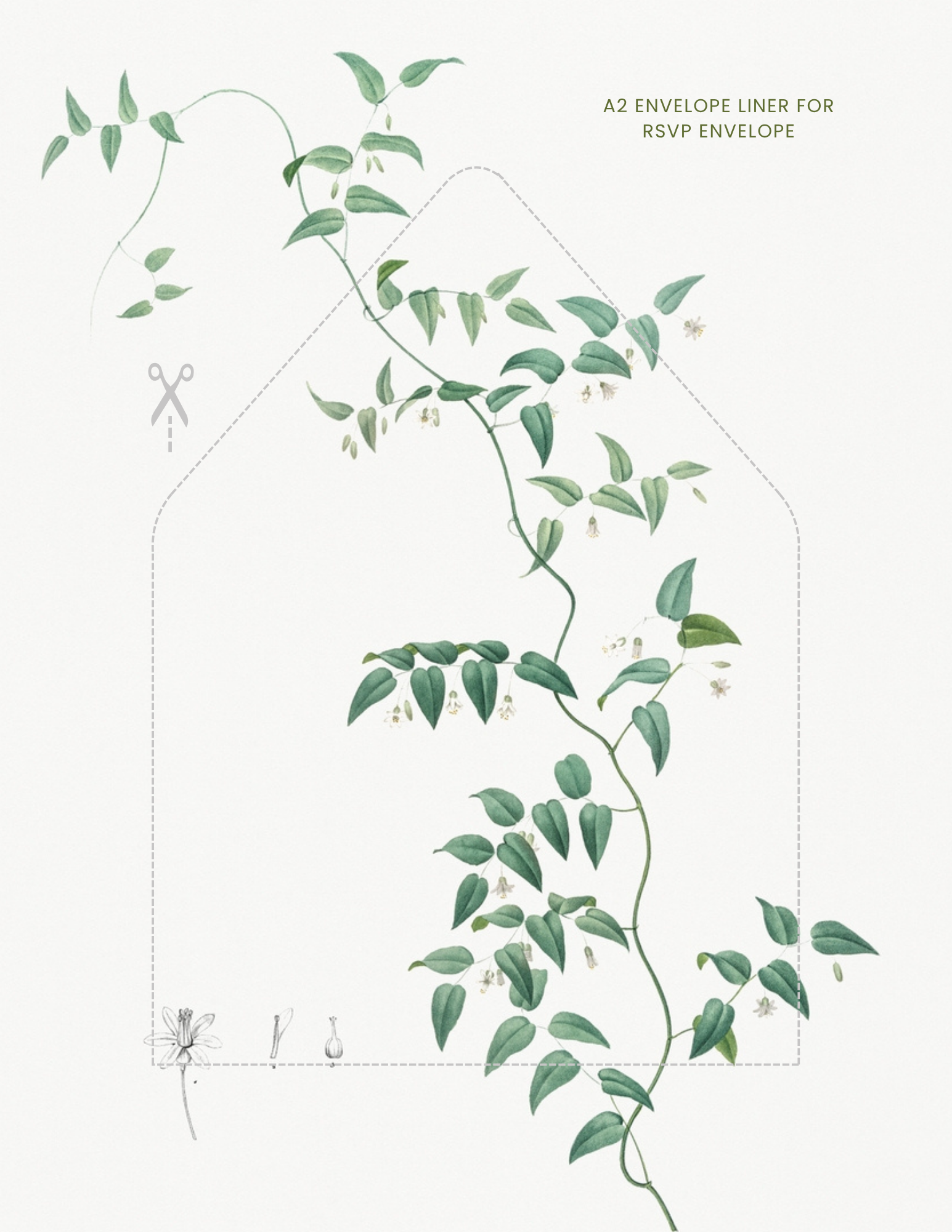 RSVP Liner A2 EnvelopeRSVP.png