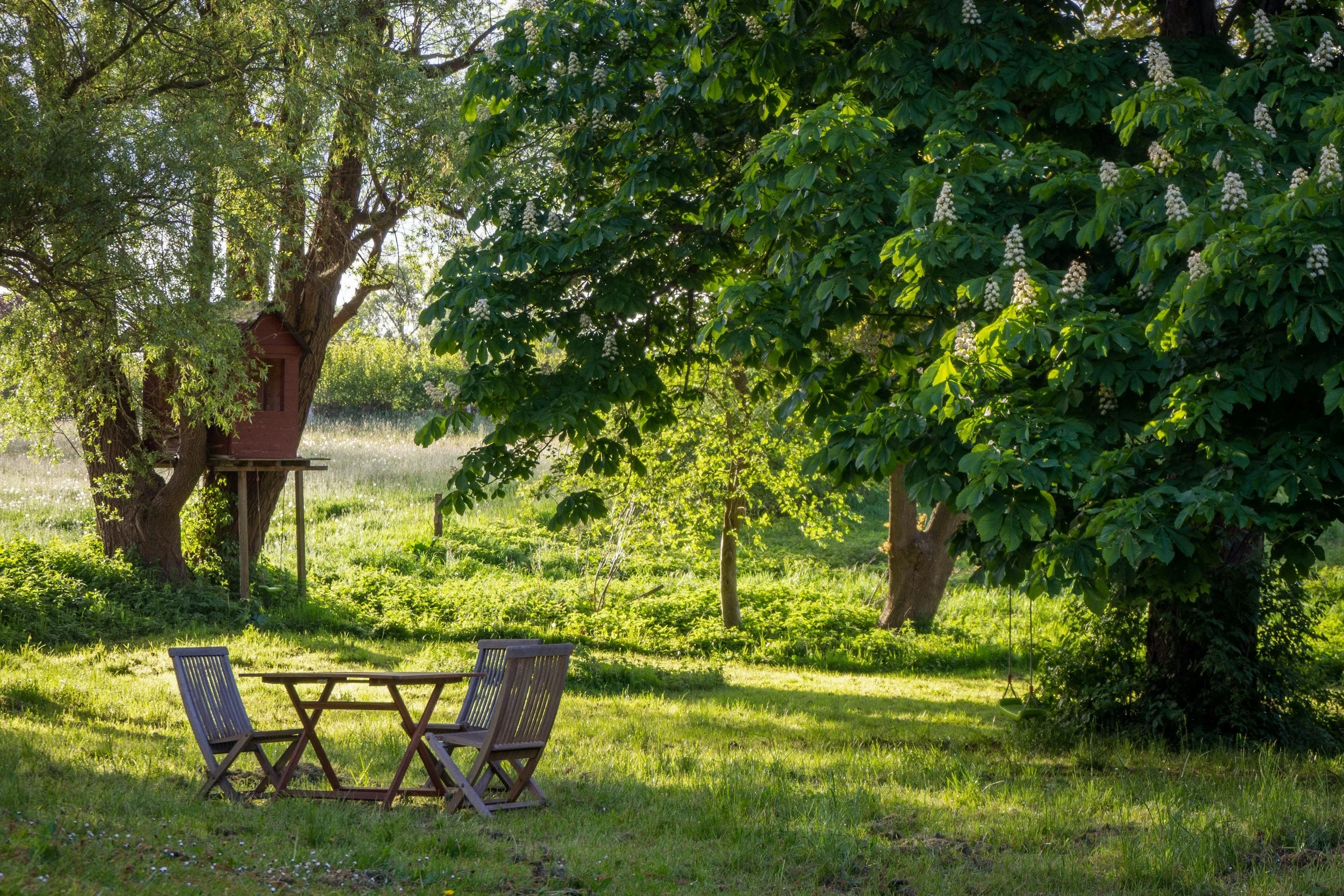 A peaceful backyard scene with green grass, several large leafy trees, a small red treehouse on a platform, a wooden table and chairs, and a swingset in the shade, bathed in sunlight.