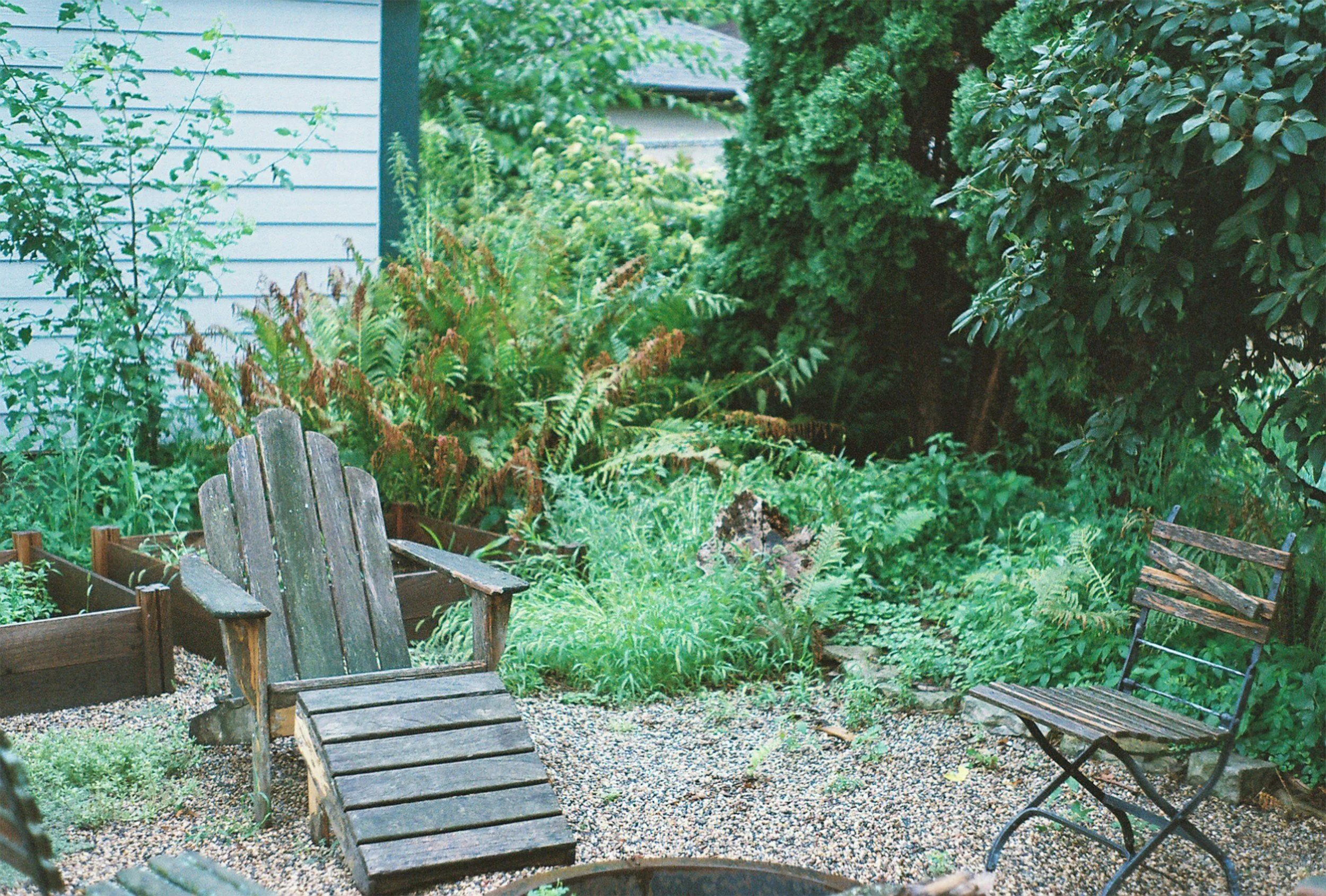 A cozy backyard with two weathered wooden chairs, a gravel seating area, lush green plants, and trees surrounding a white house with blue trim.