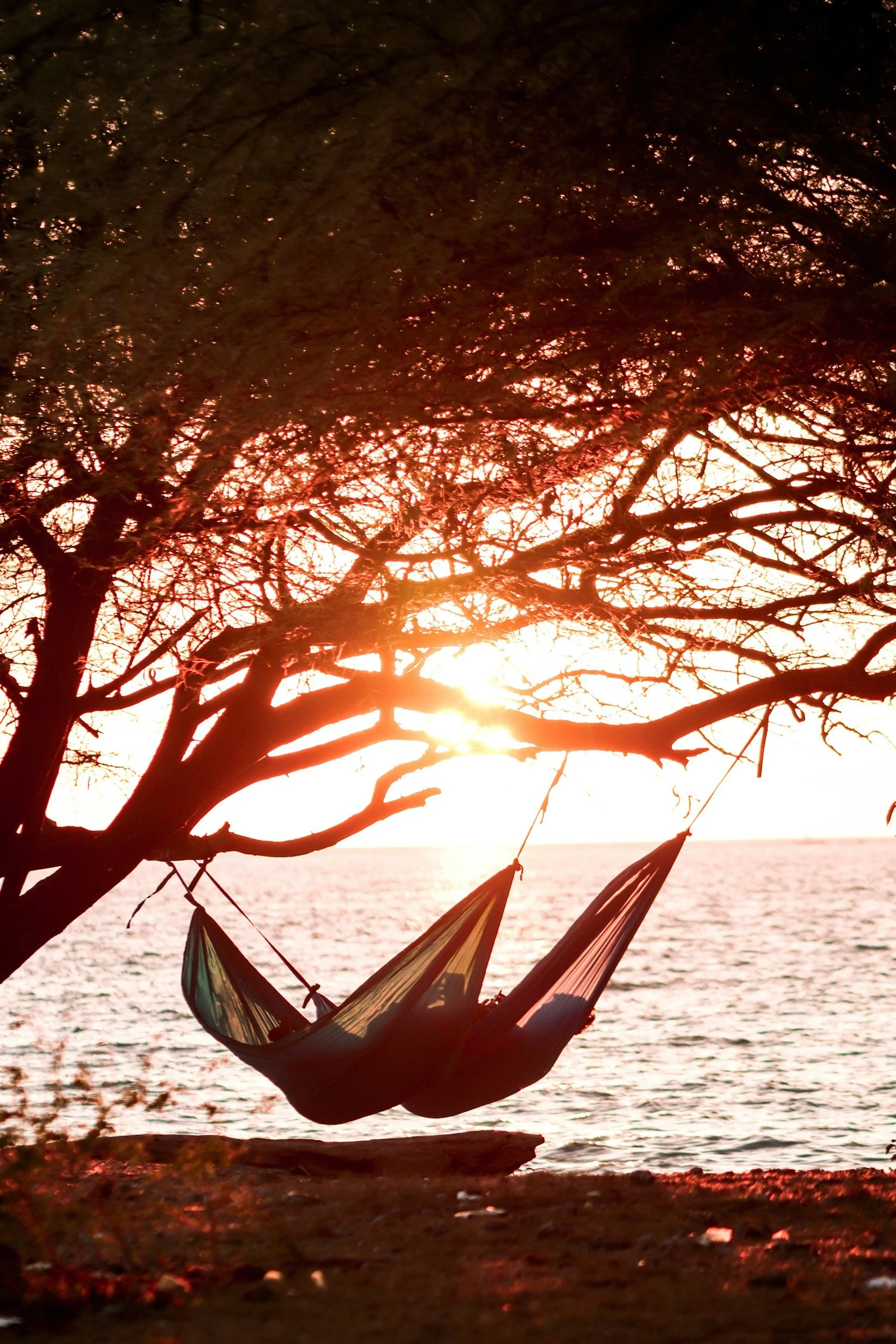 A hammock hanging from a tree on a beach at sunset, with calm water and a bright orange sky in the background.