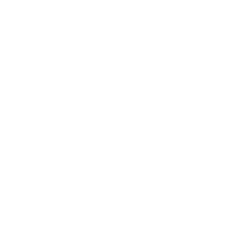 A stylized diamond shape with the letters 'P', 'E', and 'G' inside, resembling a logo.