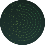 Green circular radar display with dots and concentric circles.