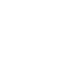 Icon of a light bulb with a radiant glow.