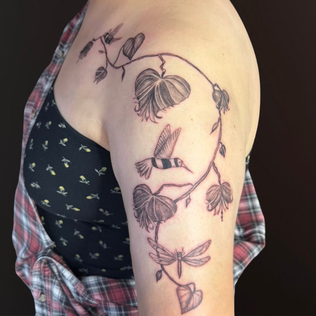 Hummingbird Leafy Vine Dragonfly Shoulder Tattoo.png