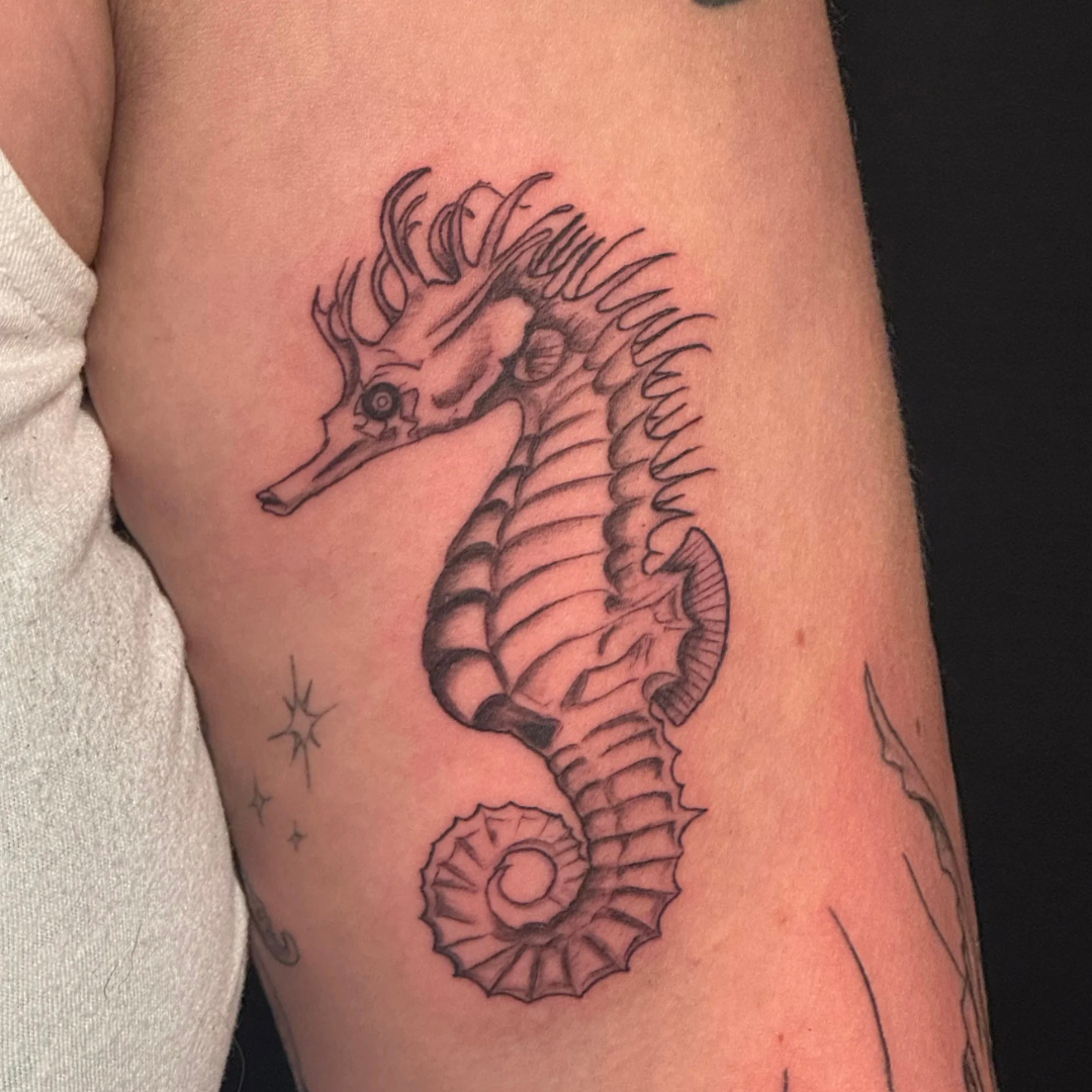 Seahorse Tattoo.png