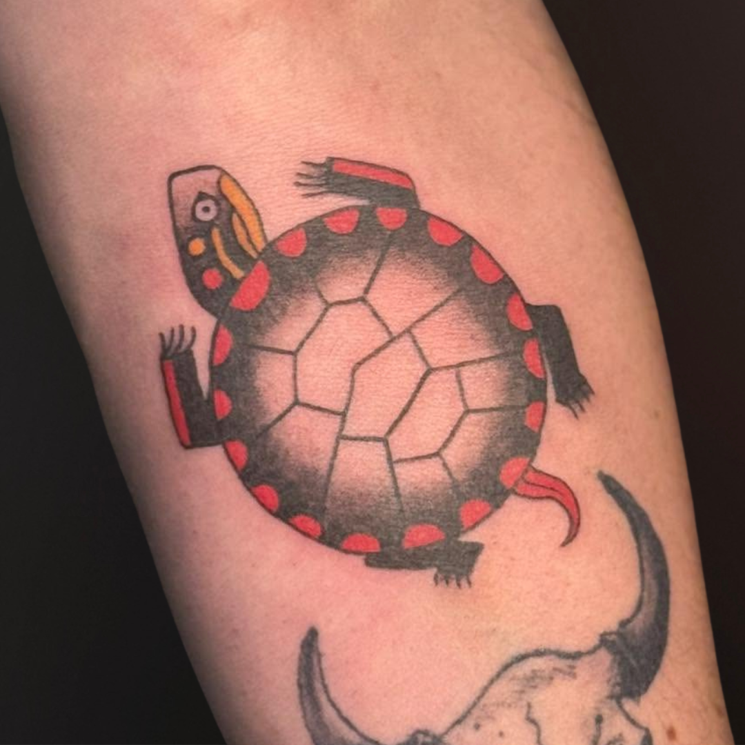 Color Traditional Turtle Tattoo.png