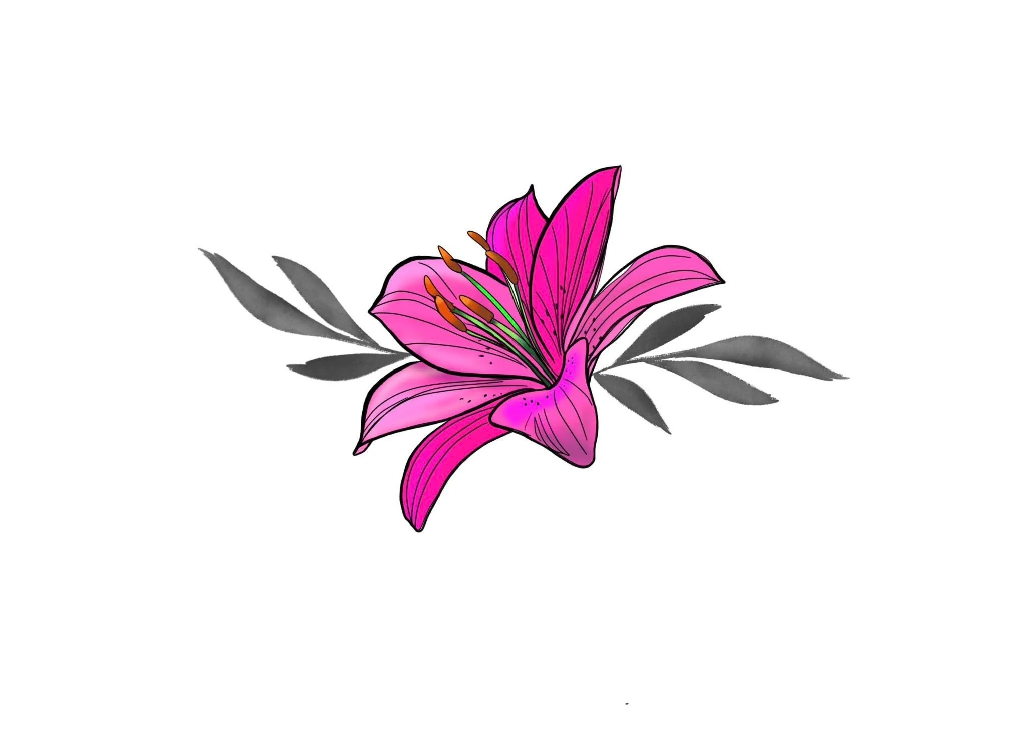 Predrawn: Pink Lily