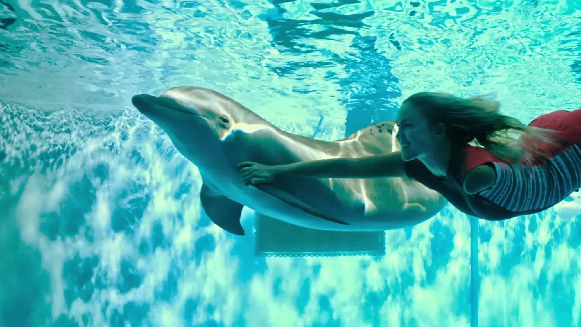 Dolphin Tale 2