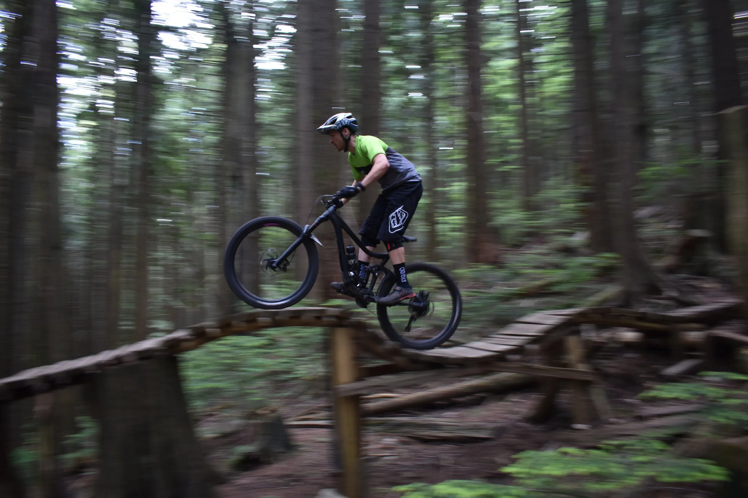 'War in the Woods', North Shore, Vancouver, BC