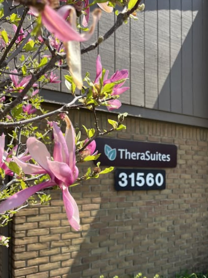 professional-office-space-rental-livonia