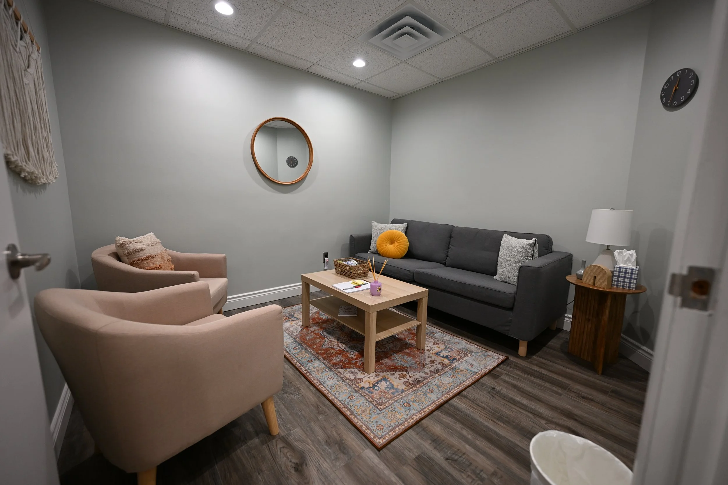 therapy-practice-consulting-livonia