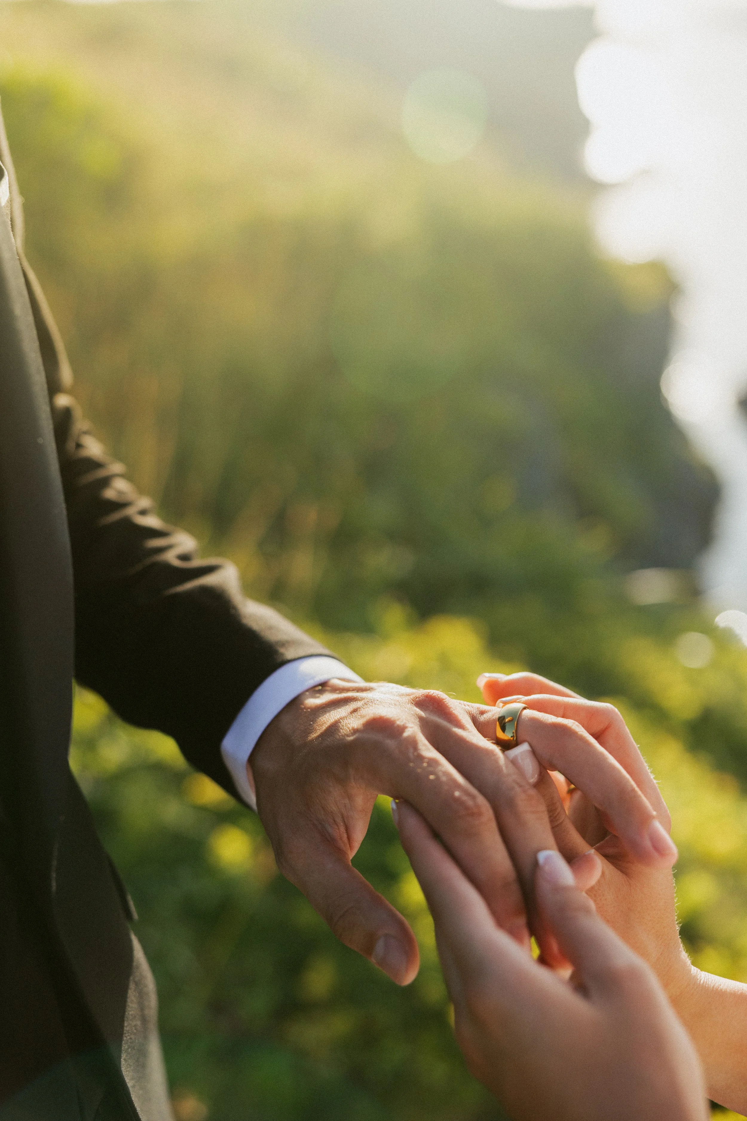 A person wearing a black suit is holding the hand of another person, showing a wedding ring. The background is blurred with greenery and sunlight.