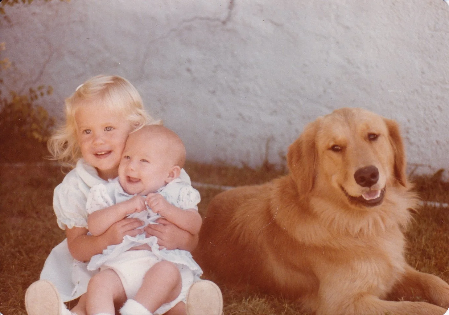 Golden Retriever dog with two children