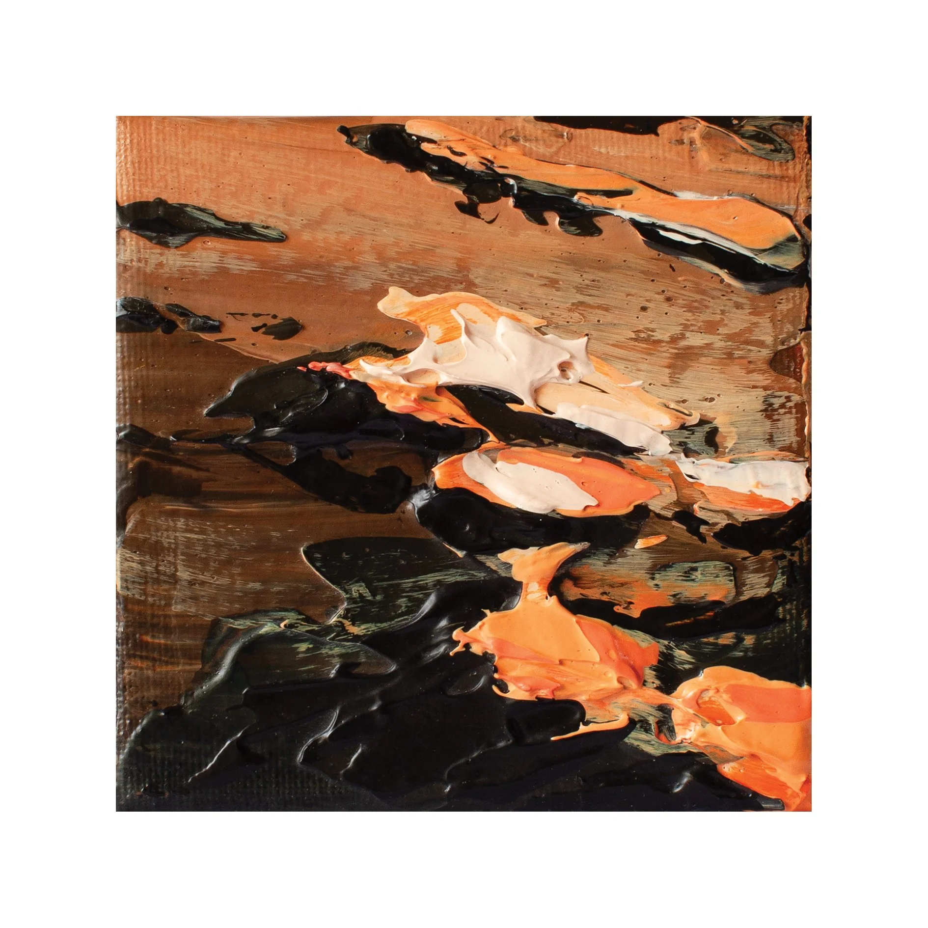 20_50ws