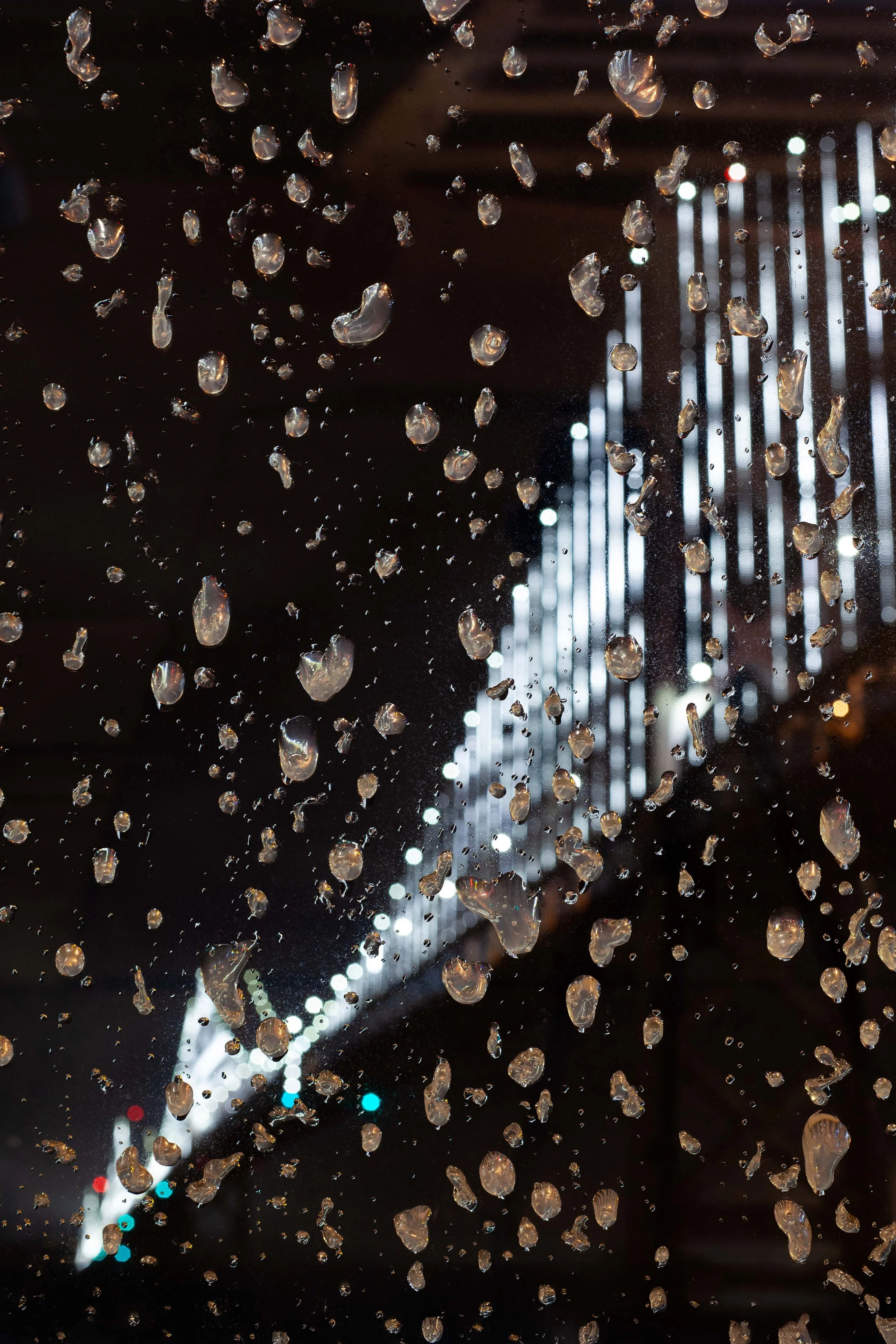 Bay Bridge - I