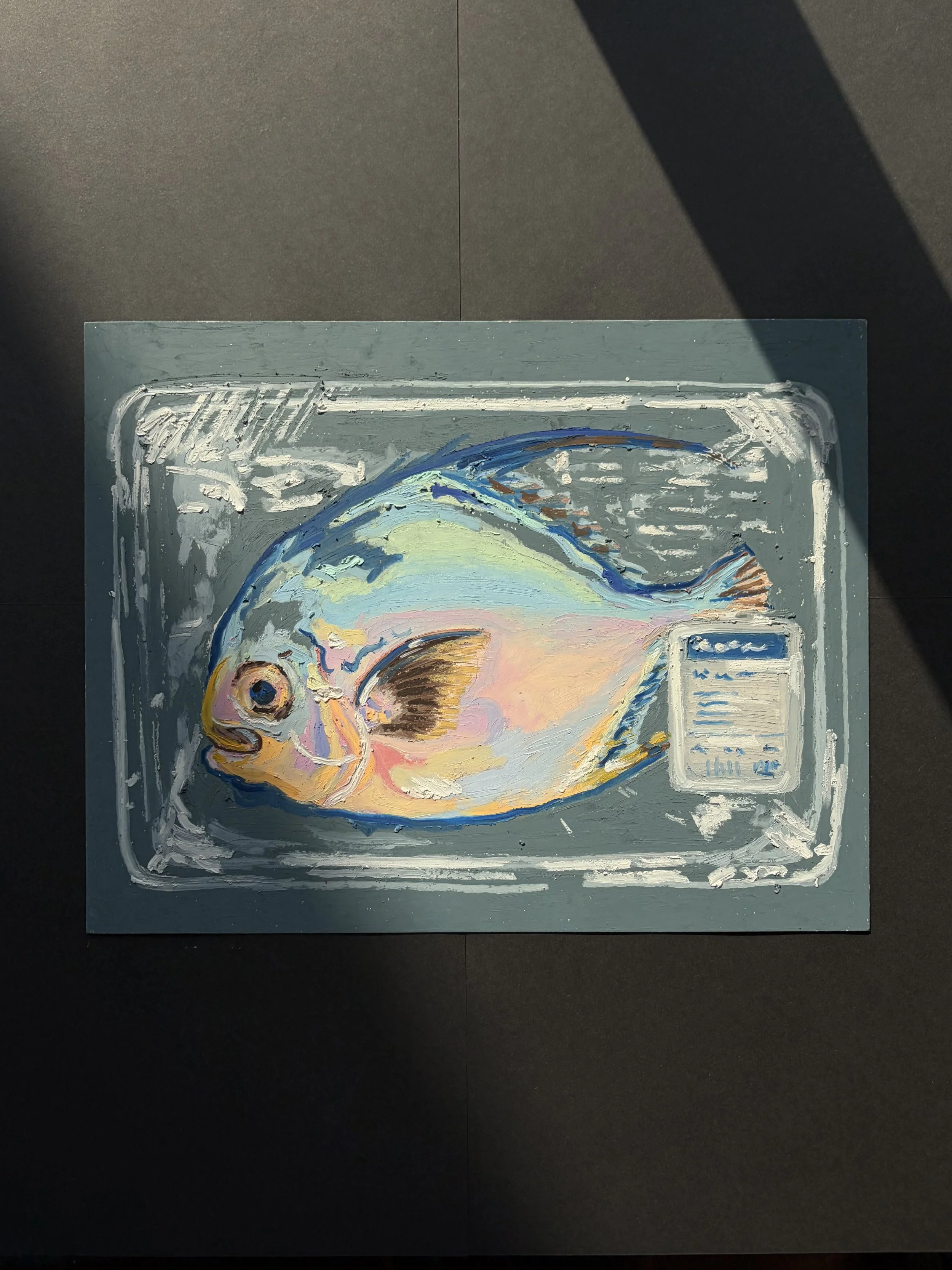Pomfret White Fish Original Art