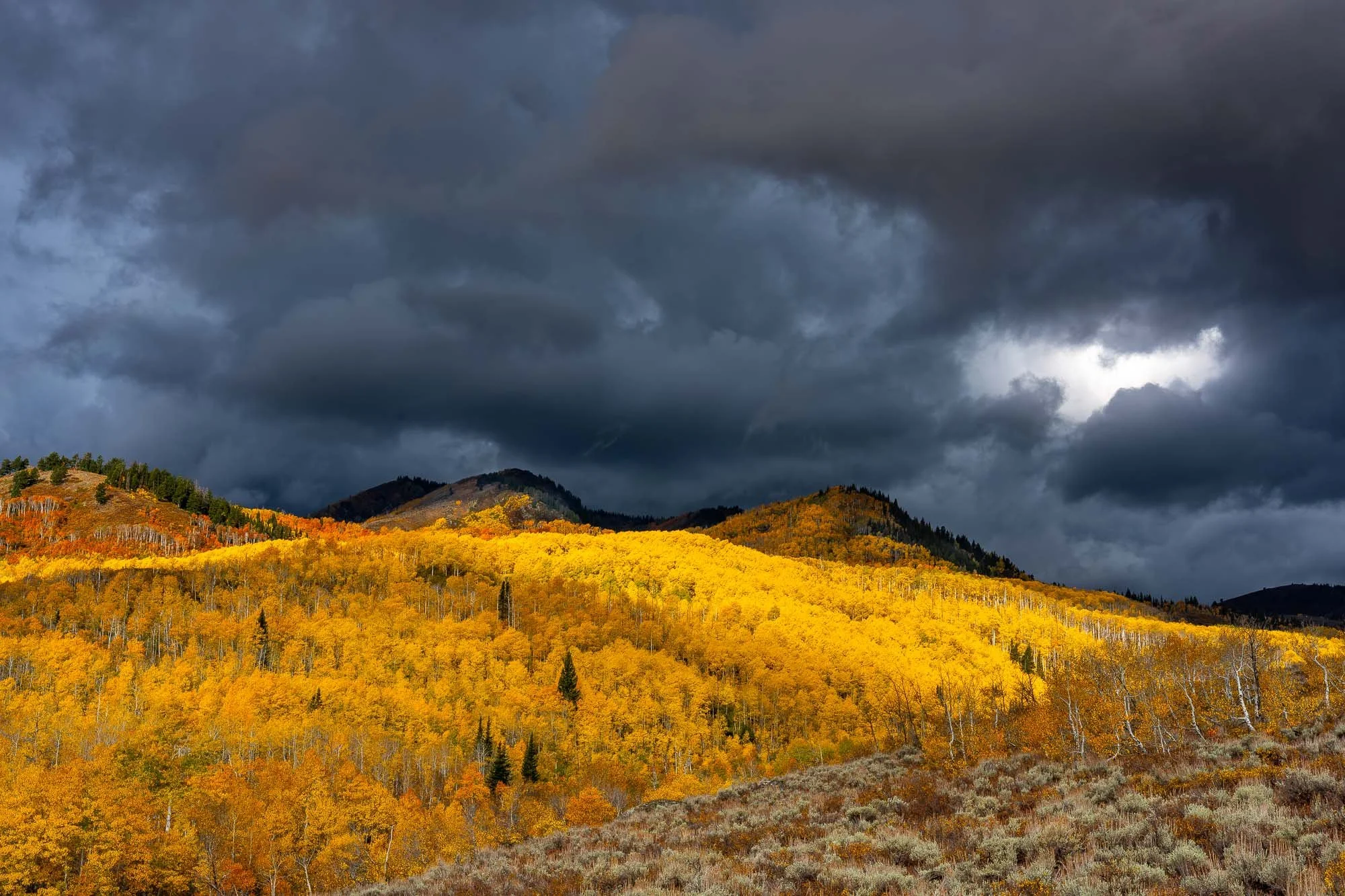 Storm clouds and fall colors in Bonanza Flats, Heber Valley, Utah