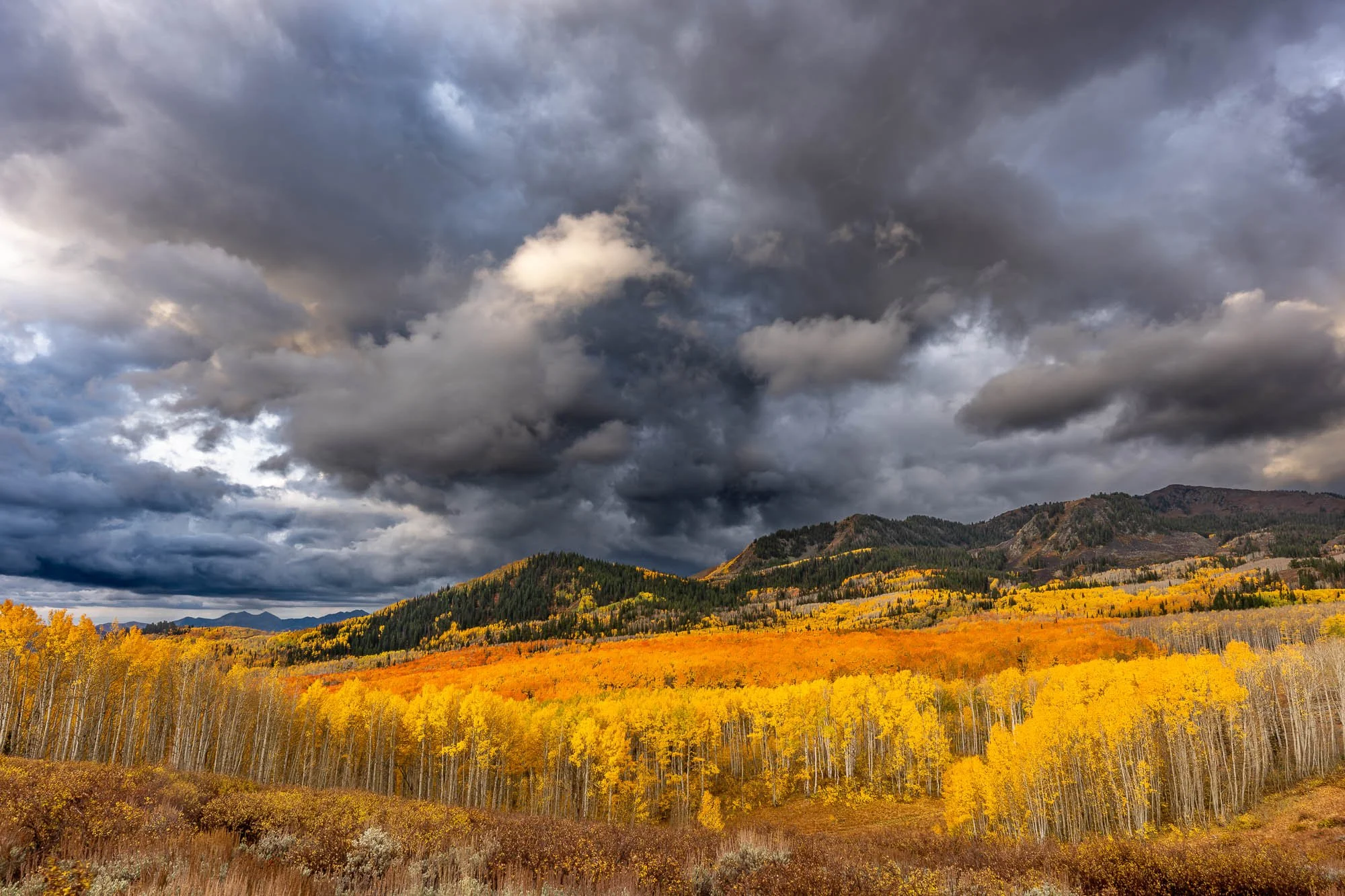 Storm clouds and fall colors in Bonanza Flats, Heber Valley, Utah