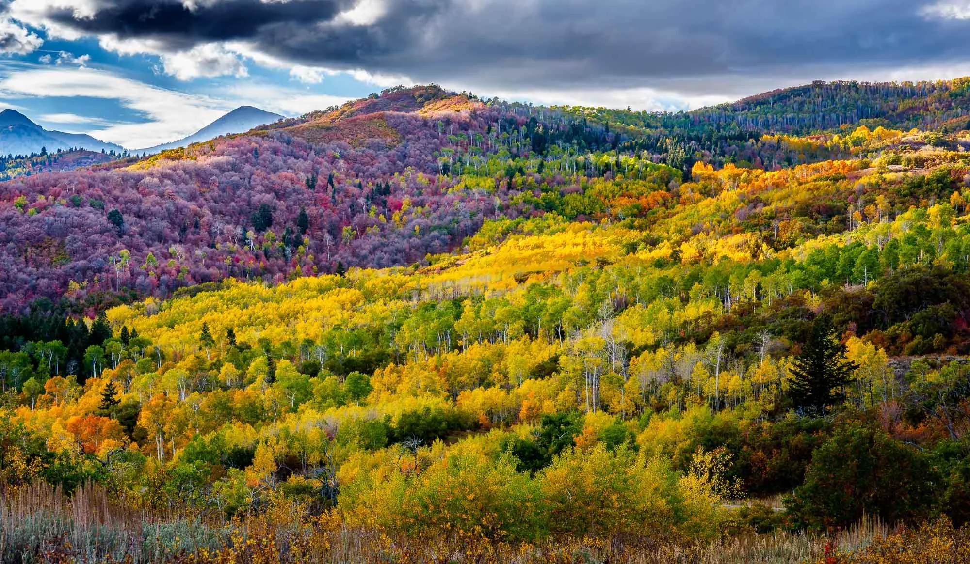 Fall colors in Heber Valley, Utah