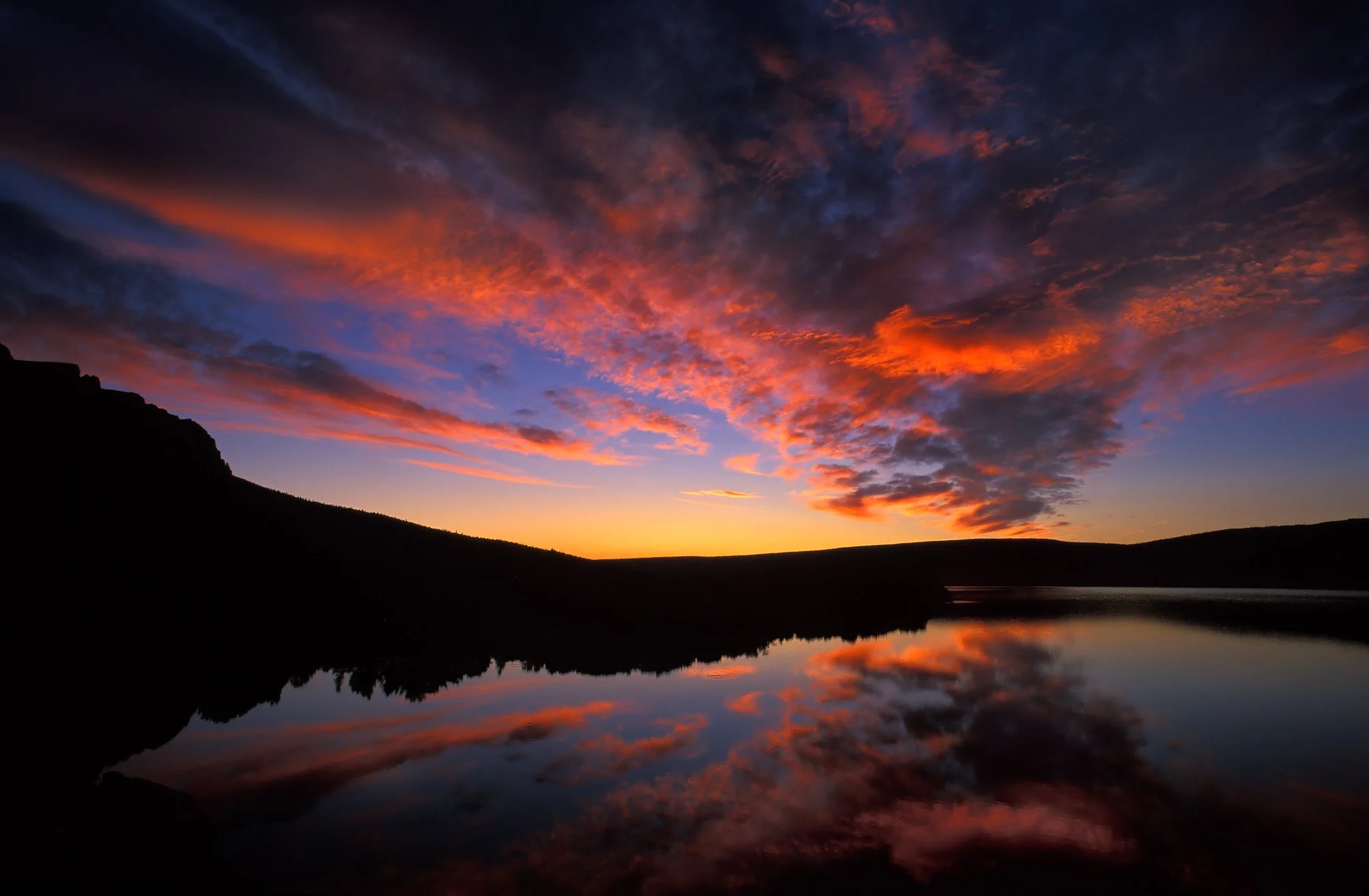 An image shot capturing a buffalo walking in a snowy landscape.