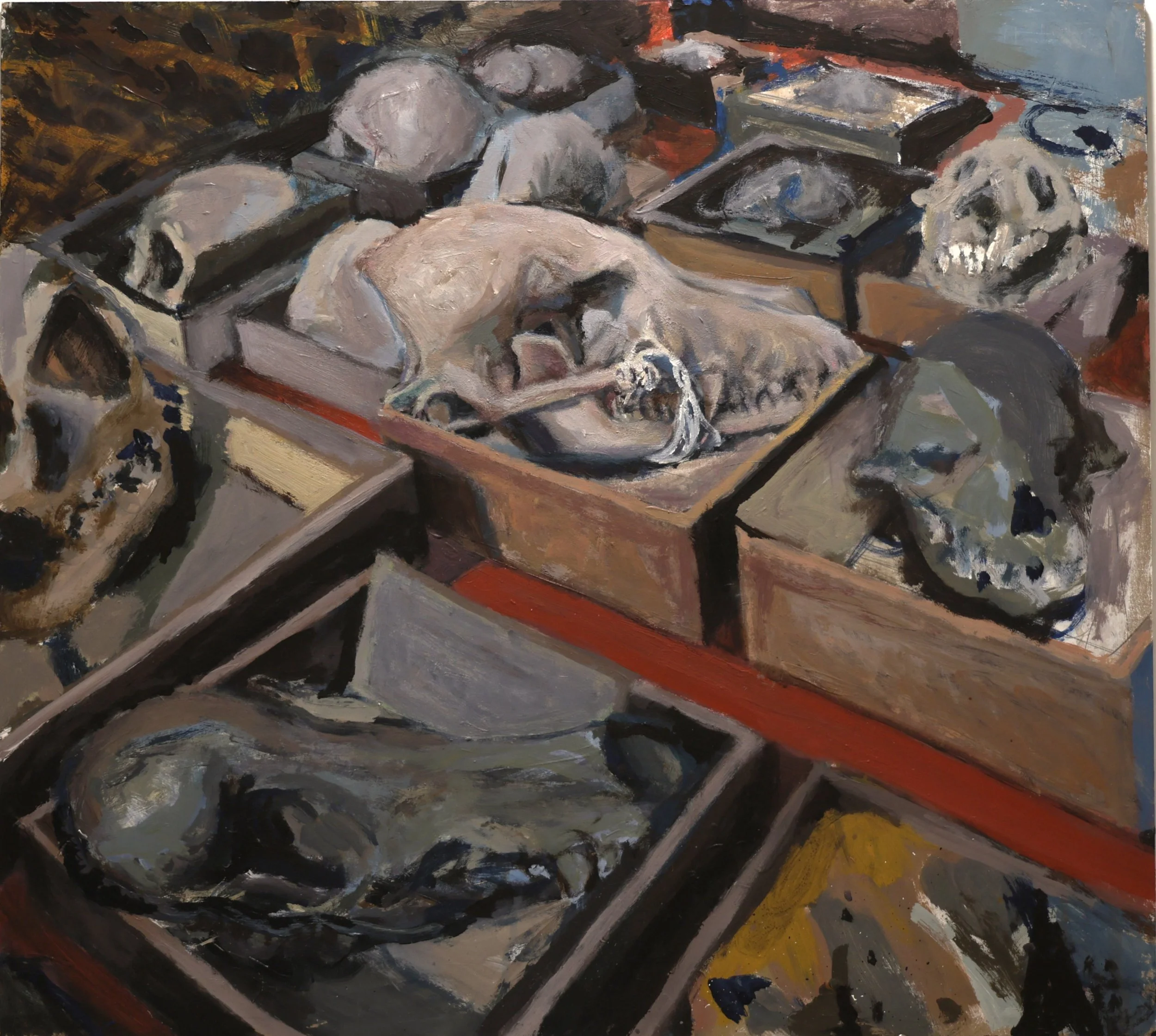 painting of a collection of animal skulls in a exhibiting shelf