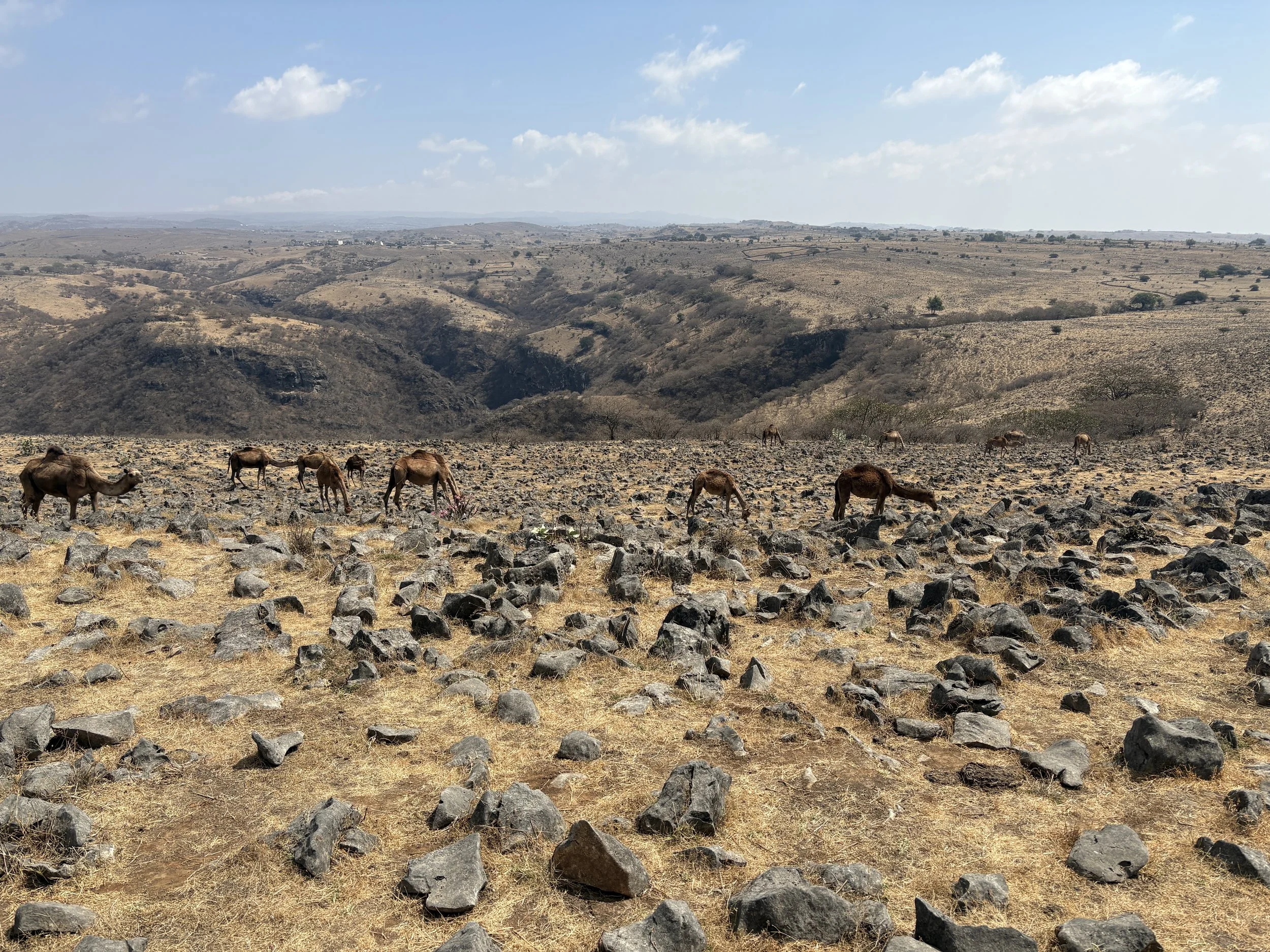 Exploration - the past in context