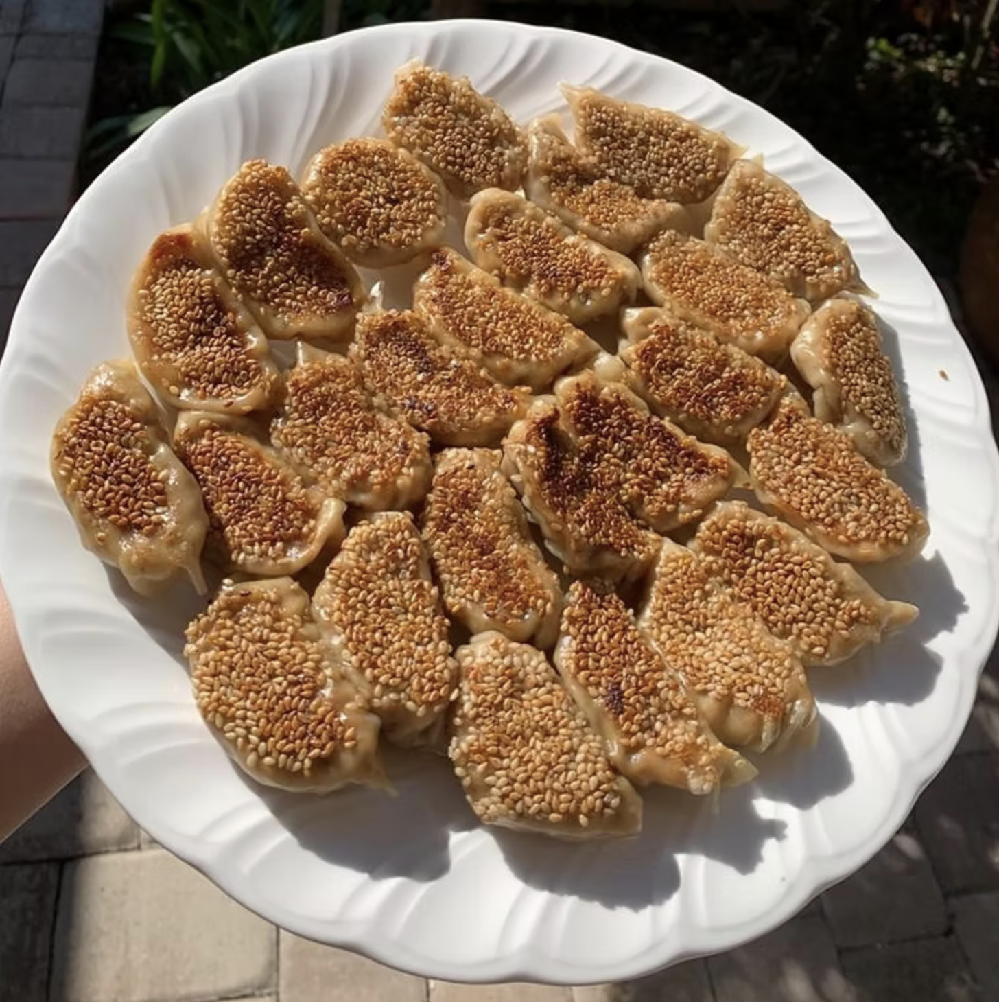 Vegan Gyoza