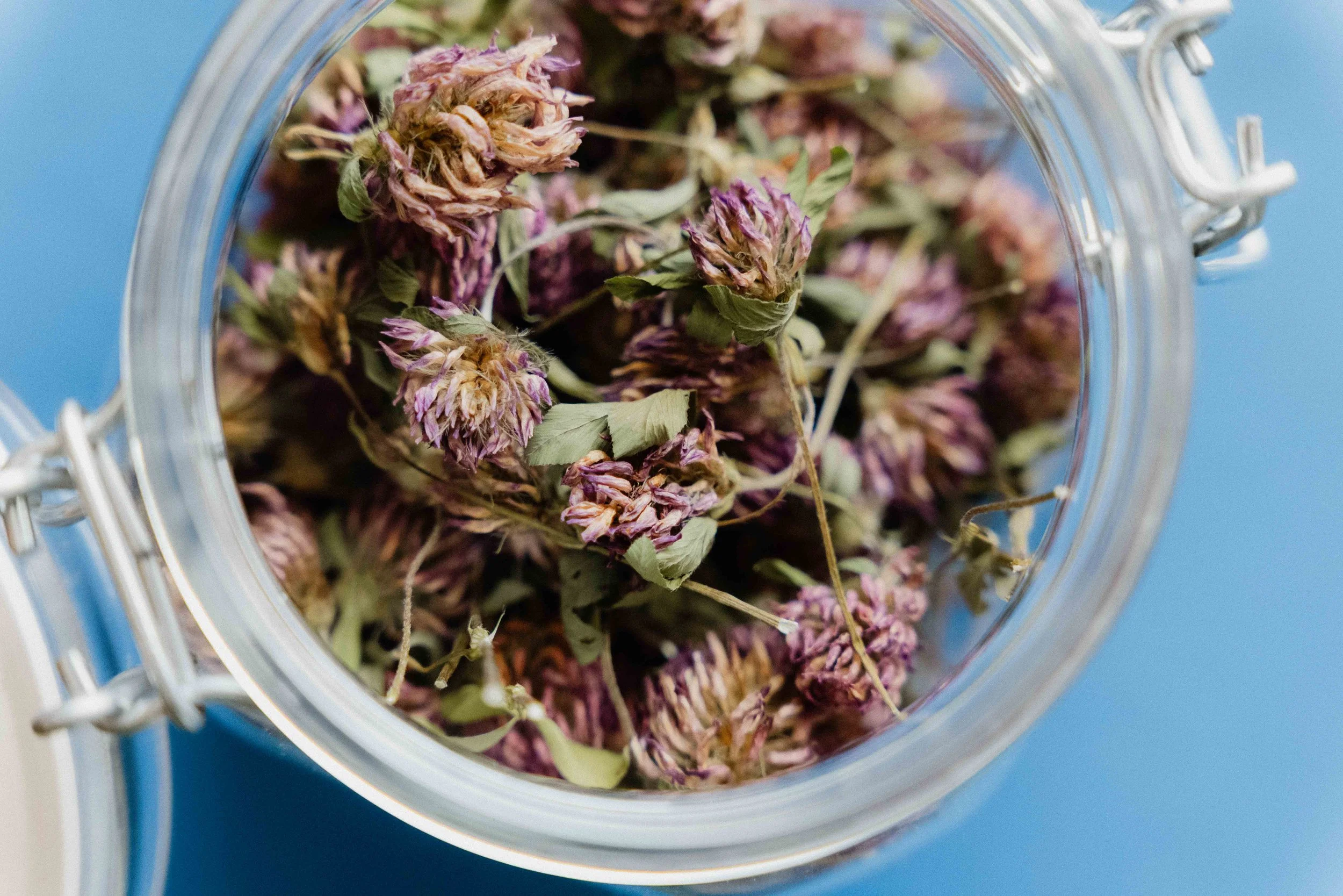 Atelier Stoffwechsel-WEB-3960113.jpg