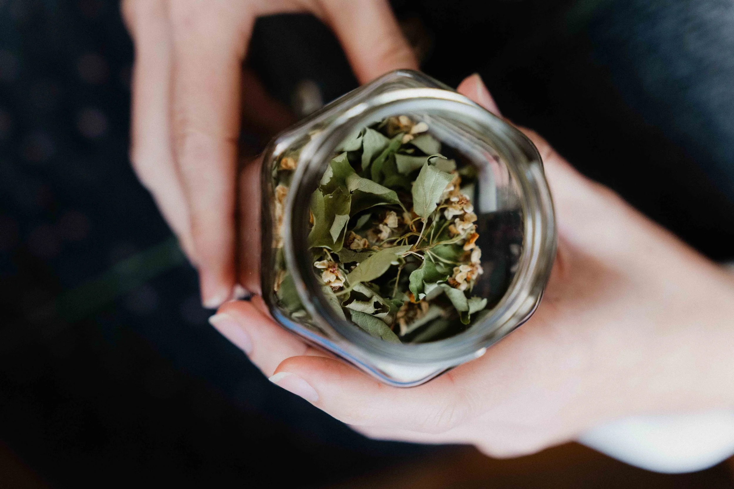 Atelier Stoffwechsel-WEB-3960131.jpg